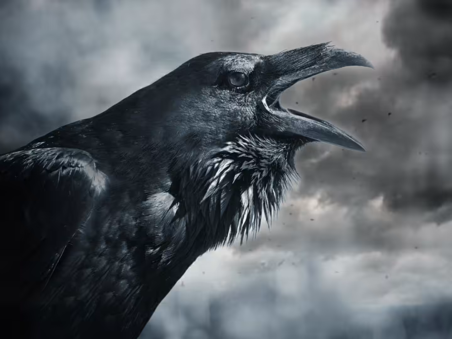 Raven said 'Nevermore'
