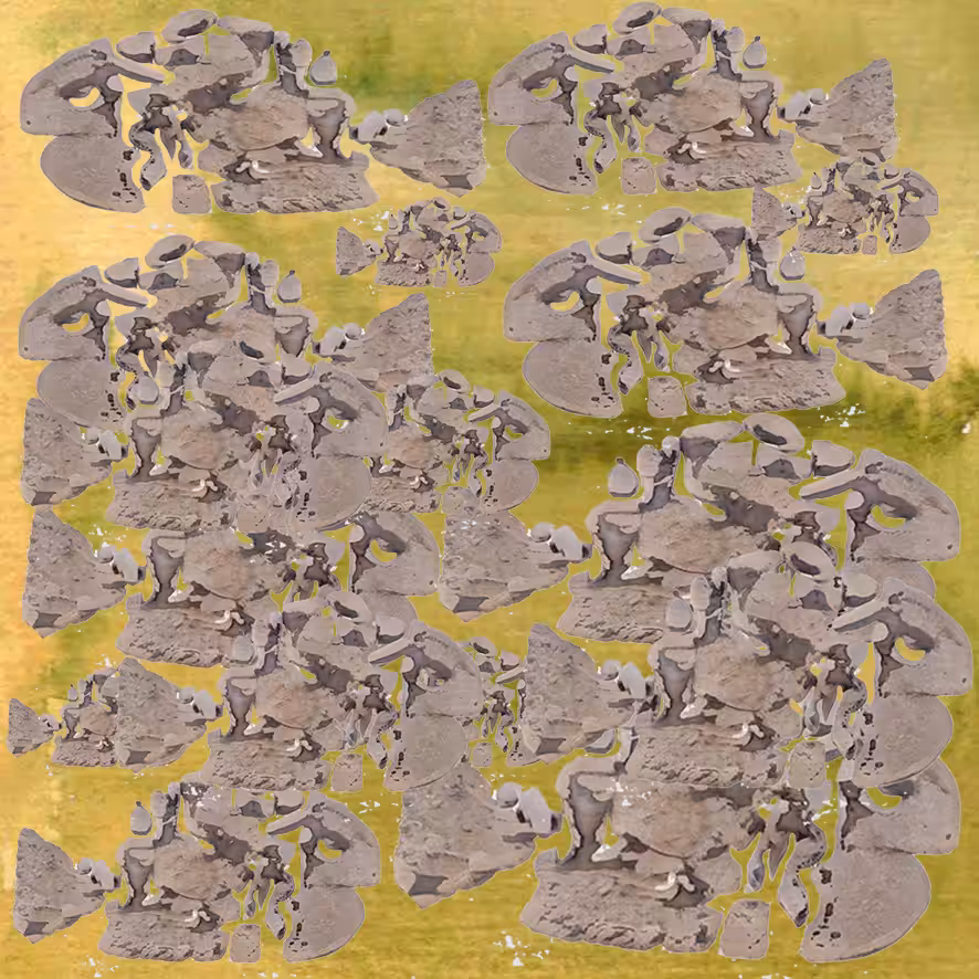 MudfishSoup #5