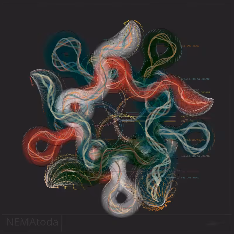 NEMA #51