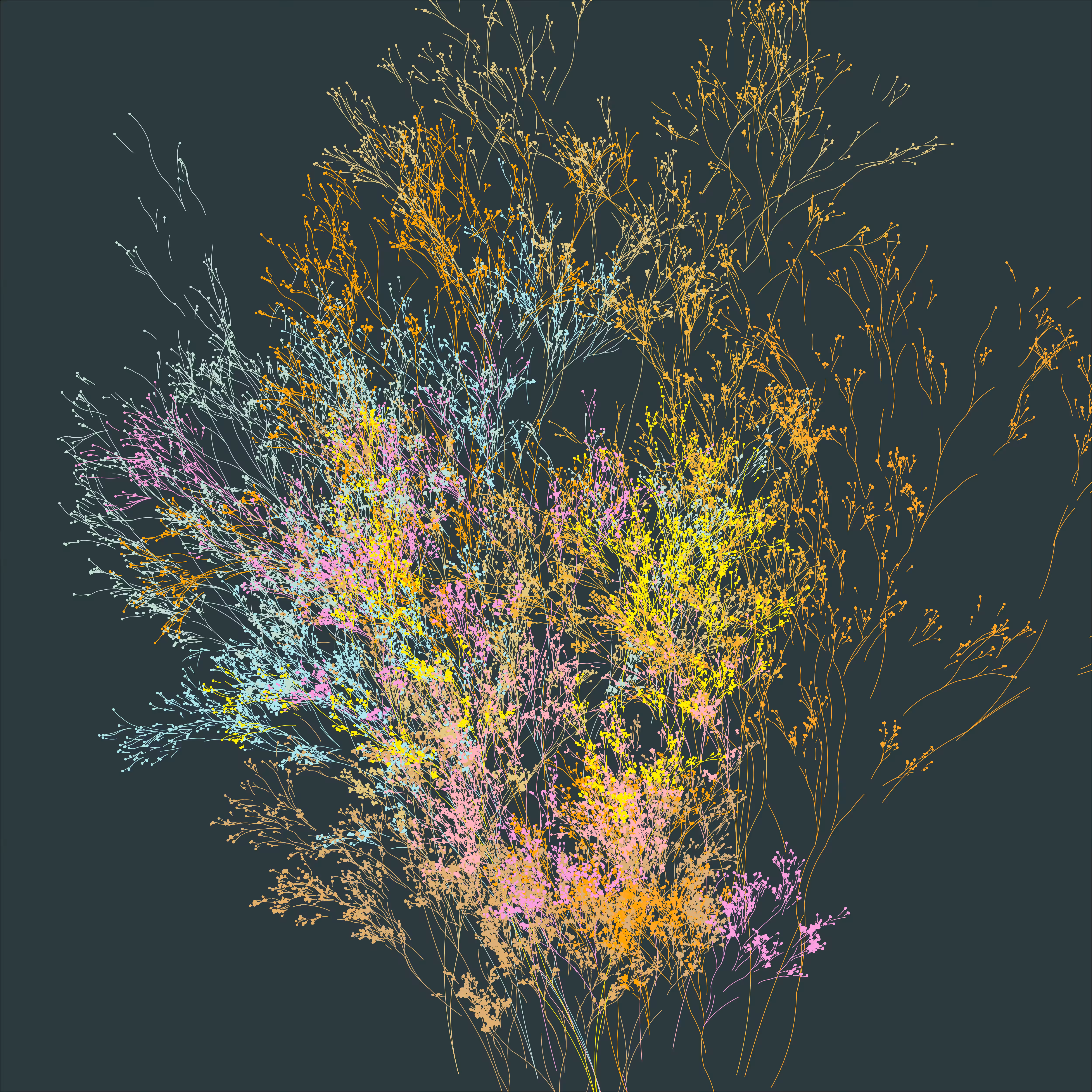 Native Flora 196