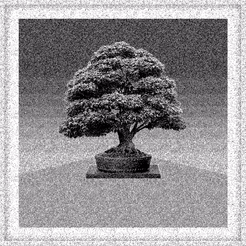 Bonsai Bonanza #28