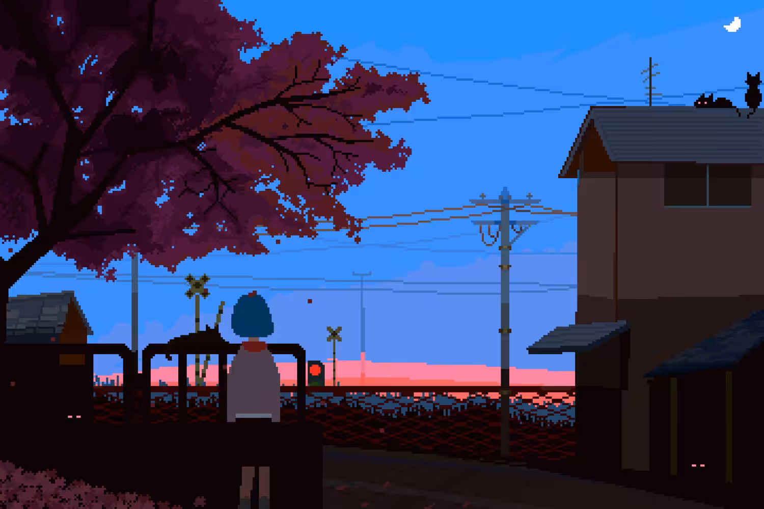 7 P.M