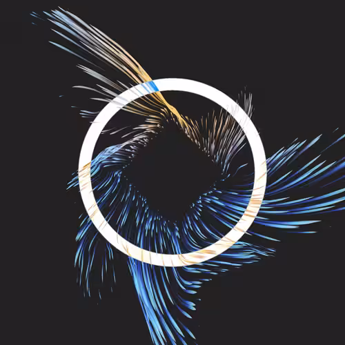 Vortex #1348