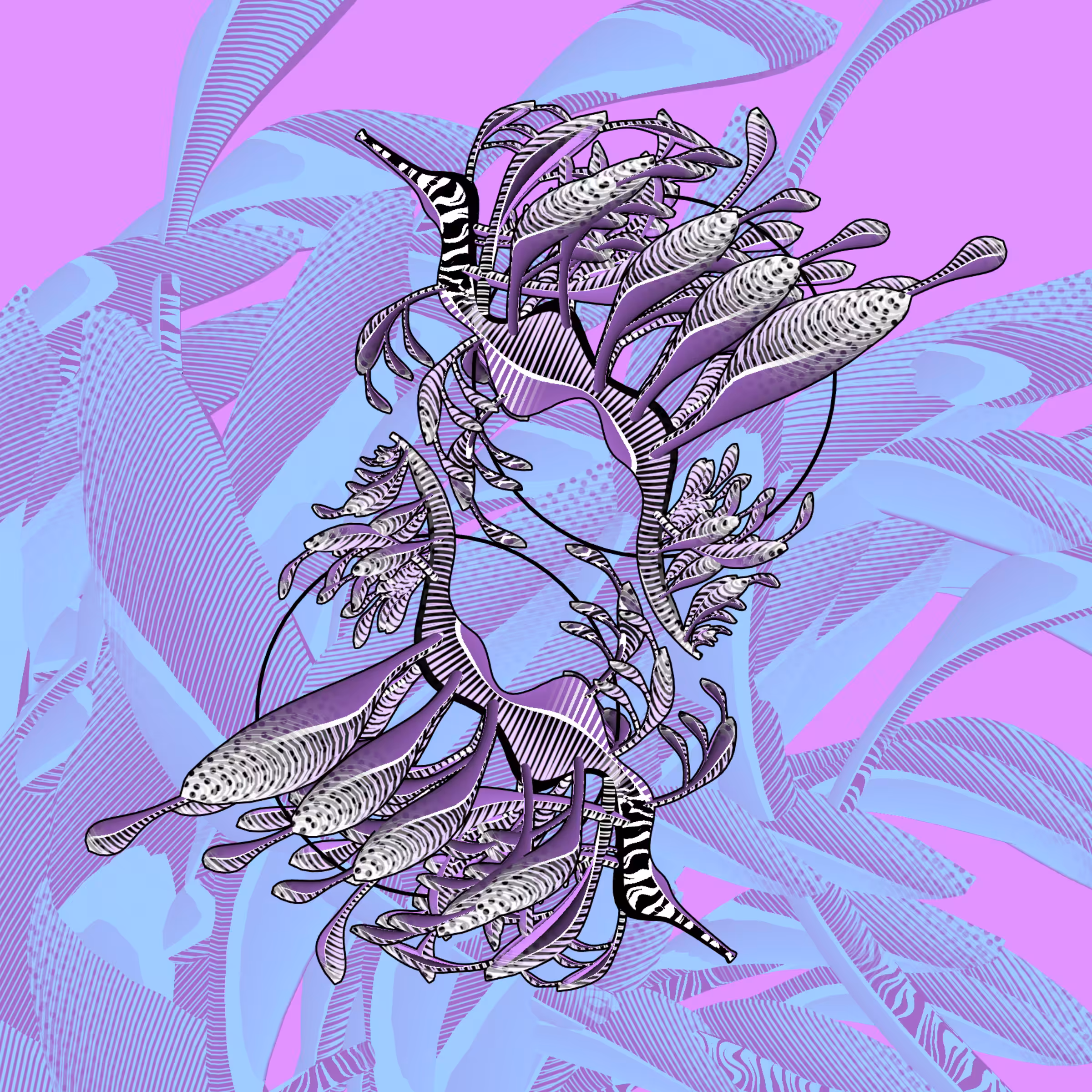 Seadragons #811