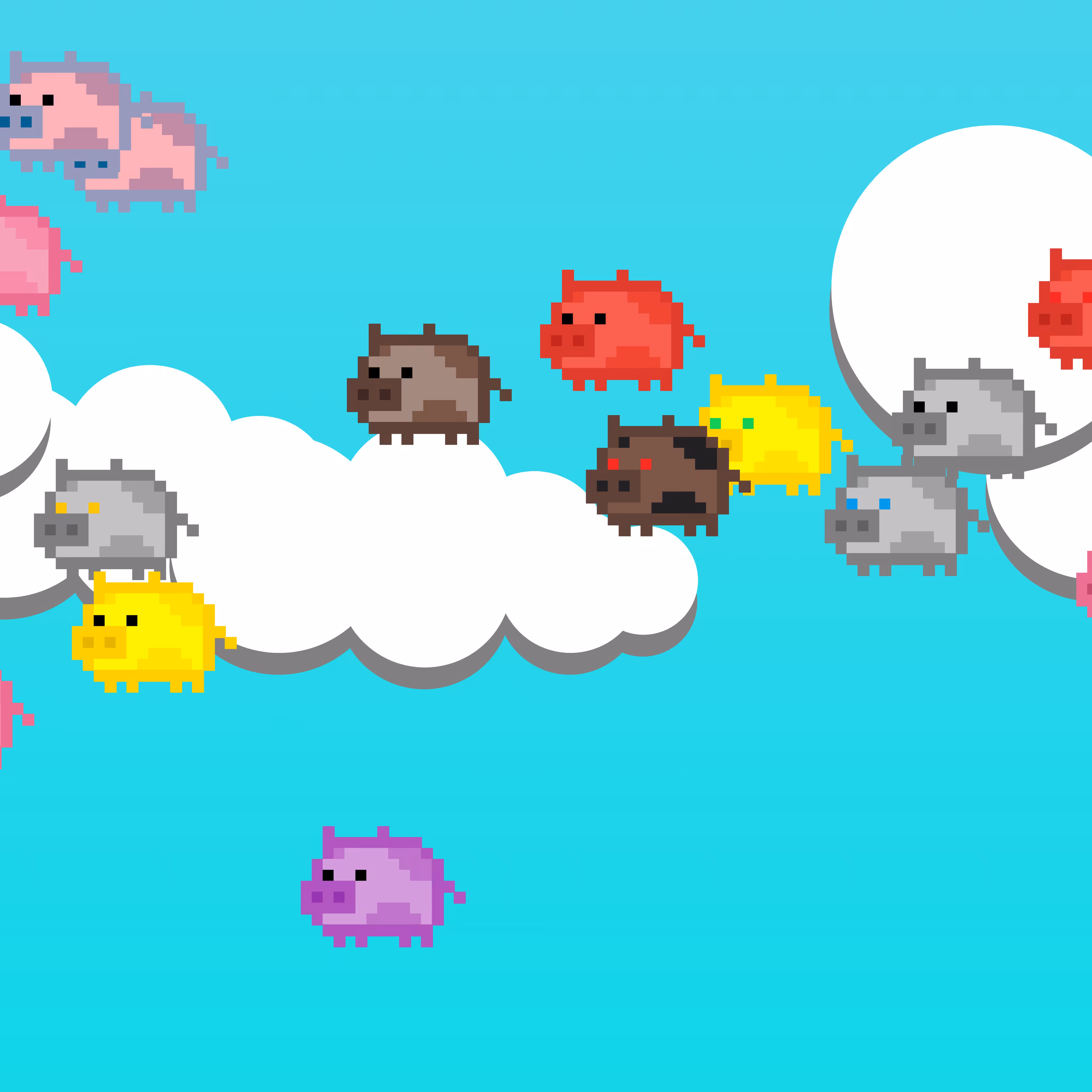Flying PETPIGS #3