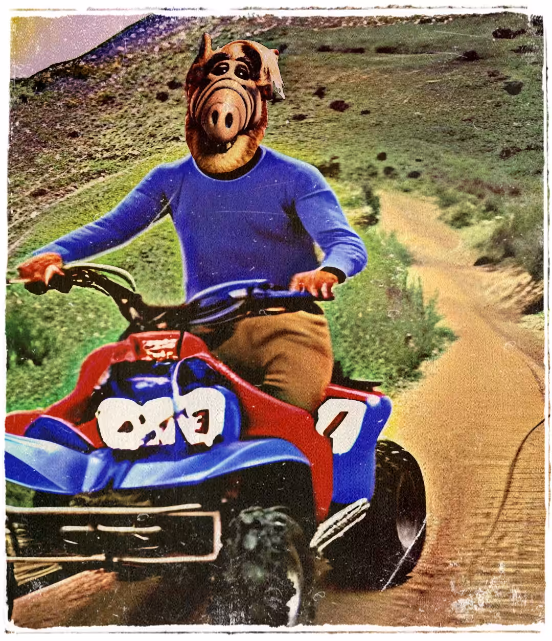 Whatever Happened to Gordon Shumway?