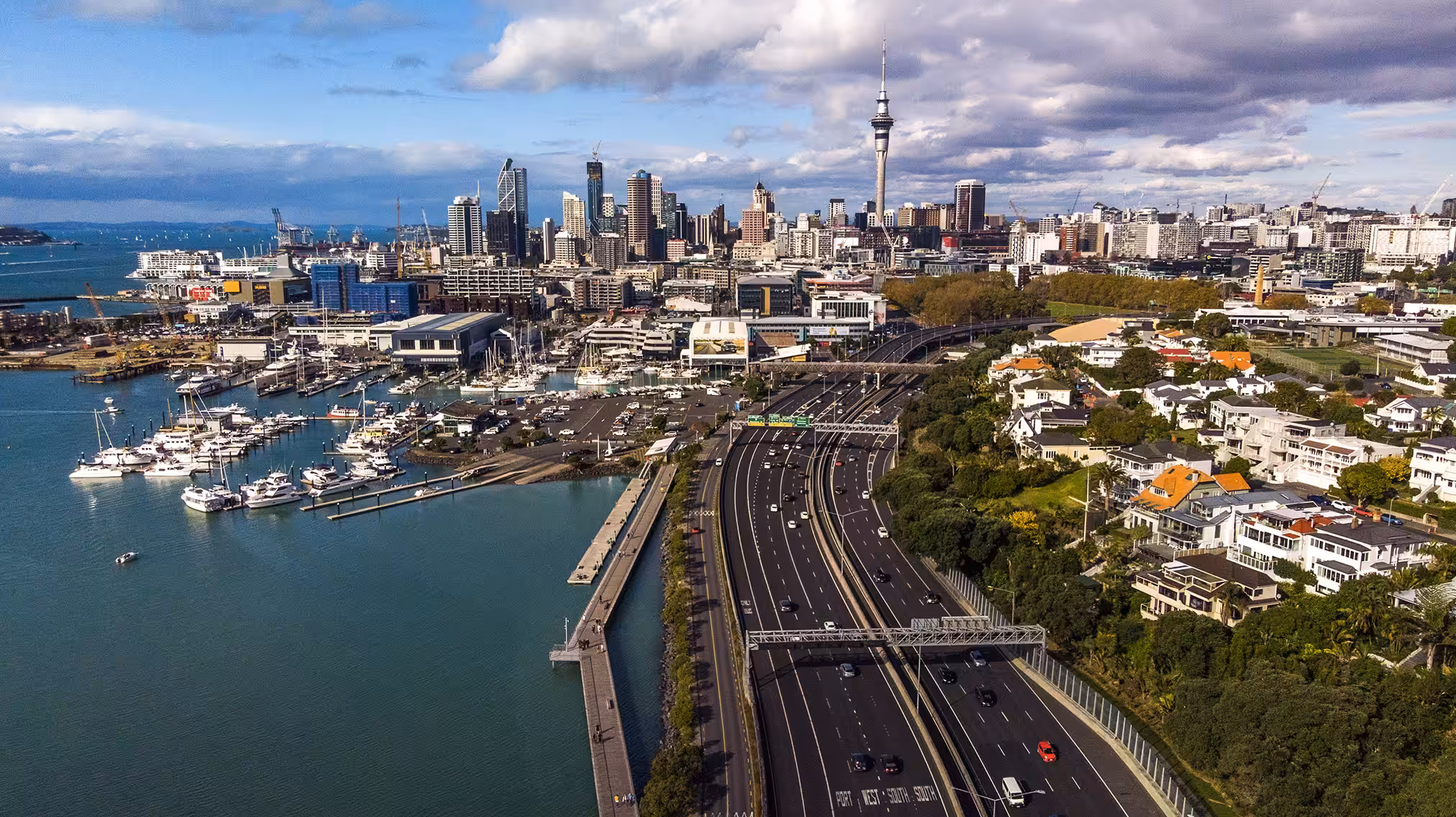 Auckland bird's eye view