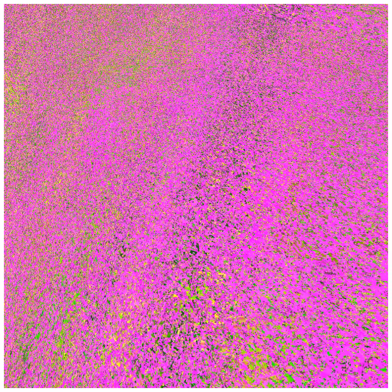 Morphology #47