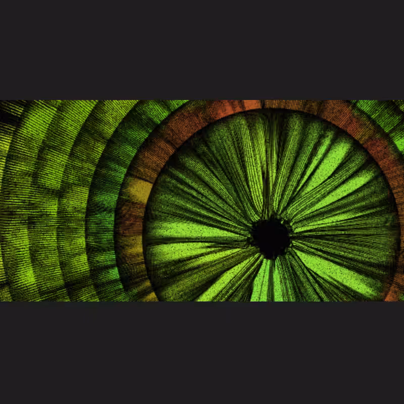 Chameleon #42