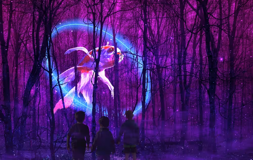 Lost in Wonderment