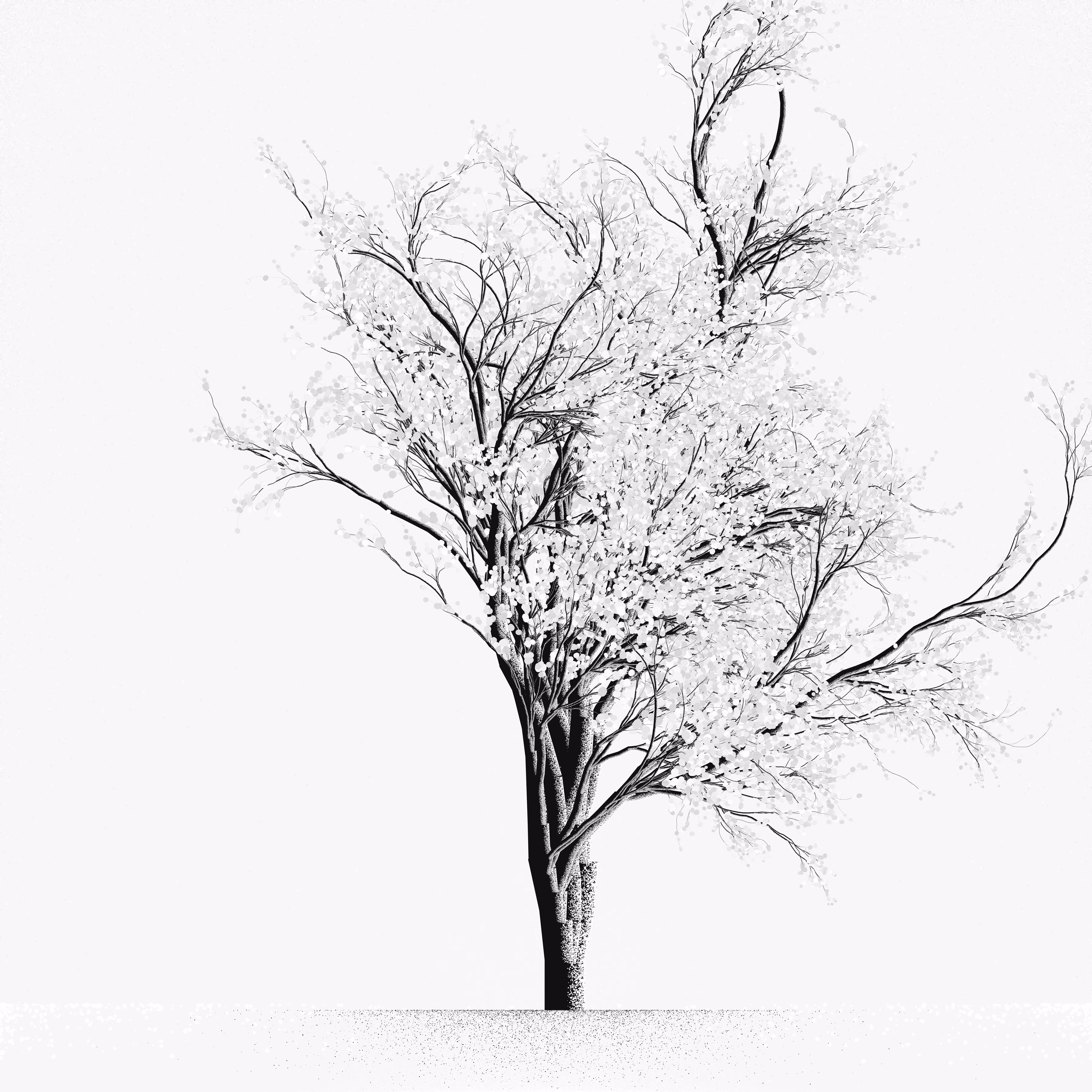 Snow Tree #7