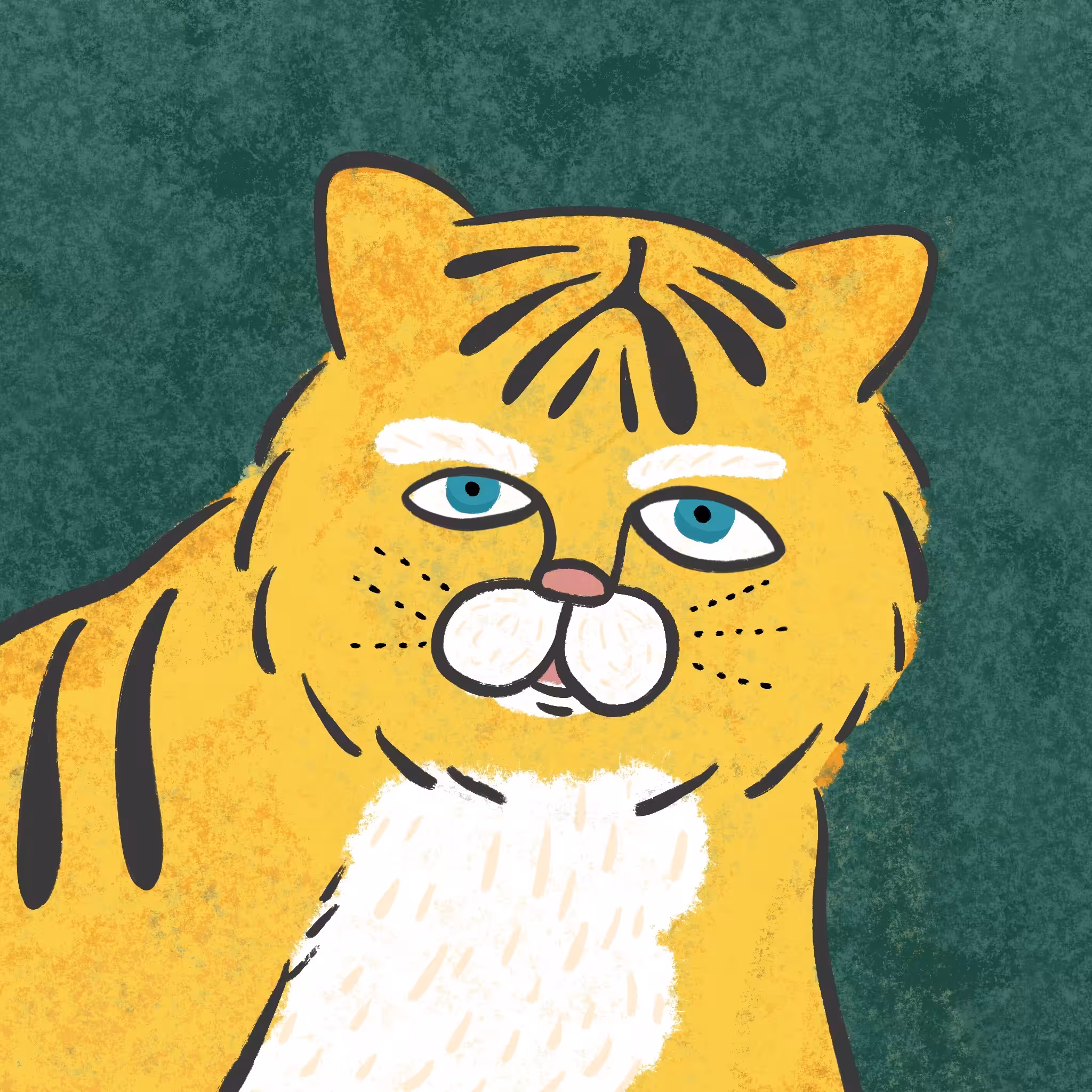 tora-chan