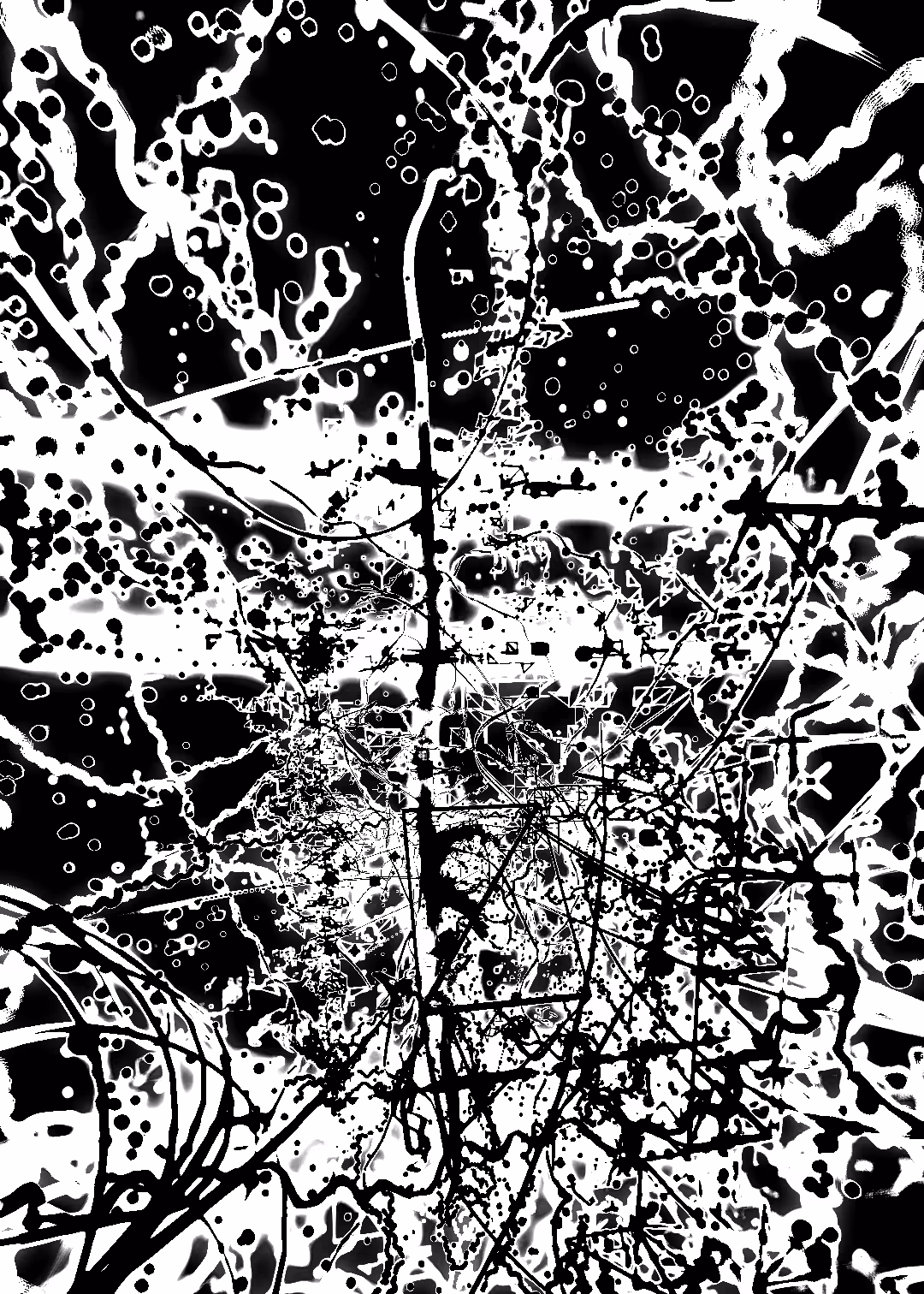 Black & Art #013