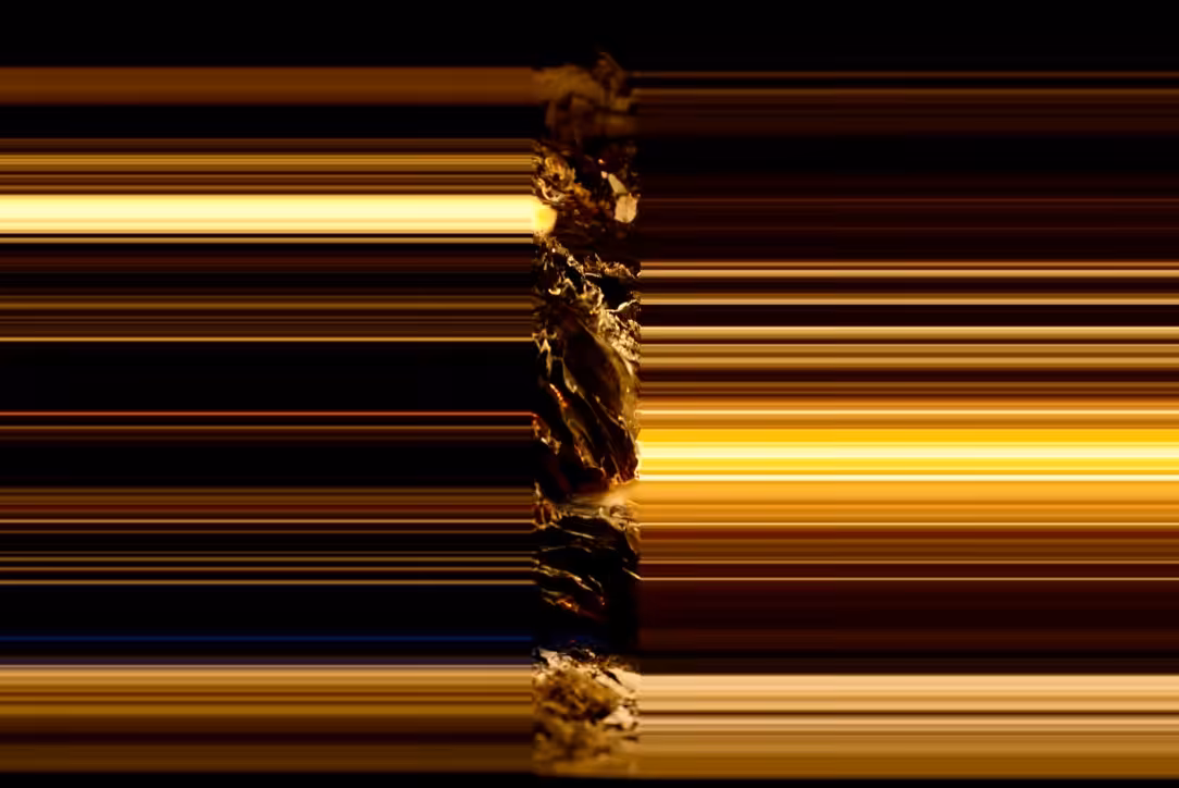 PRIMARY ELEMENT #6