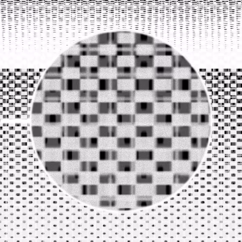 MICROSCOPY #2