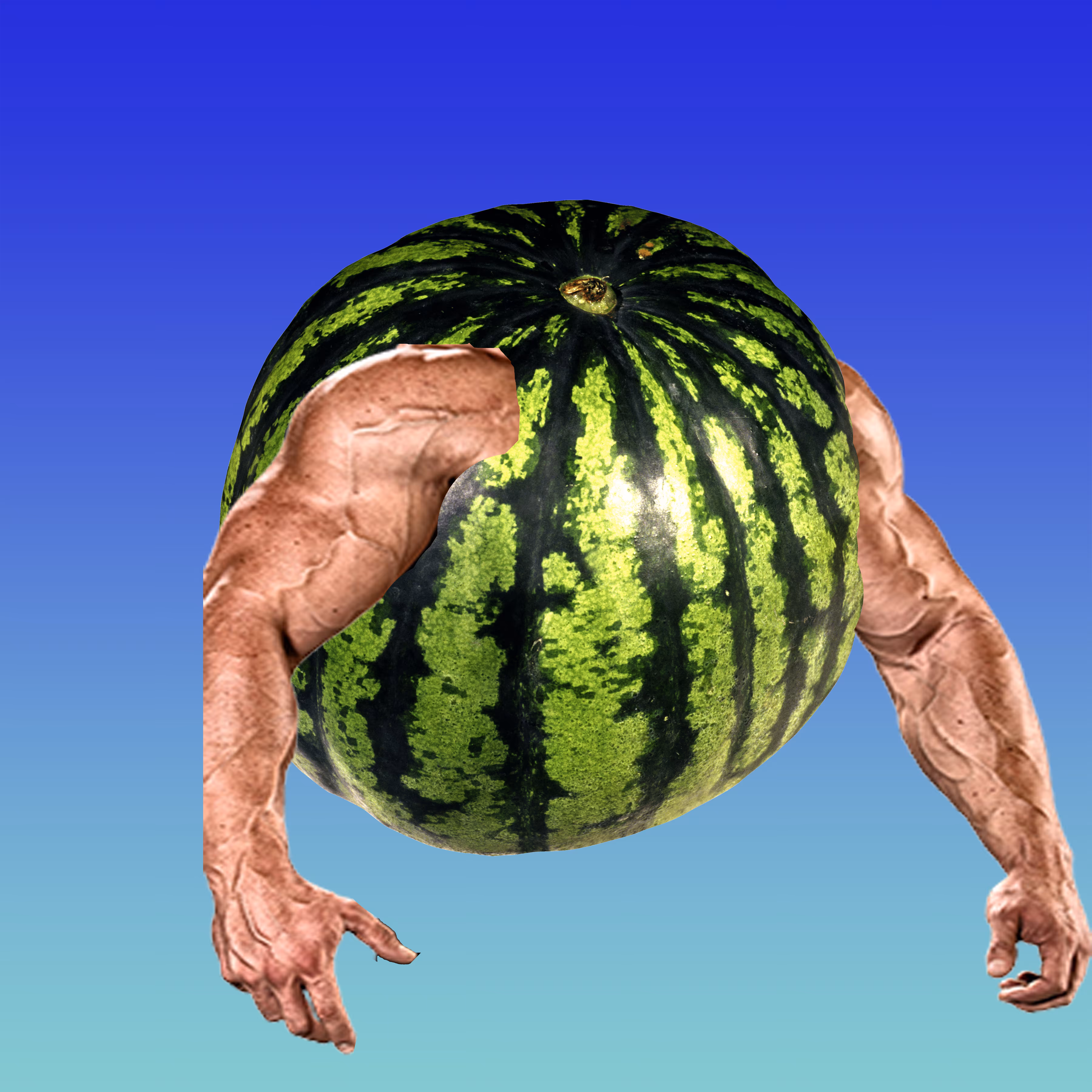Buff Watermelon, 2021