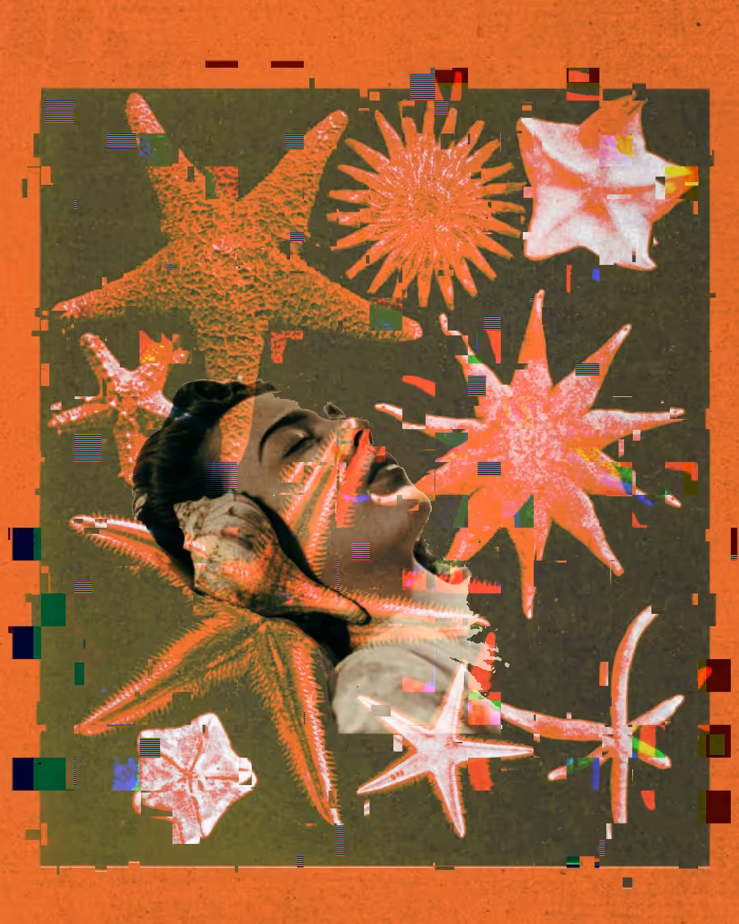 Soft Glitch Melting Echoes