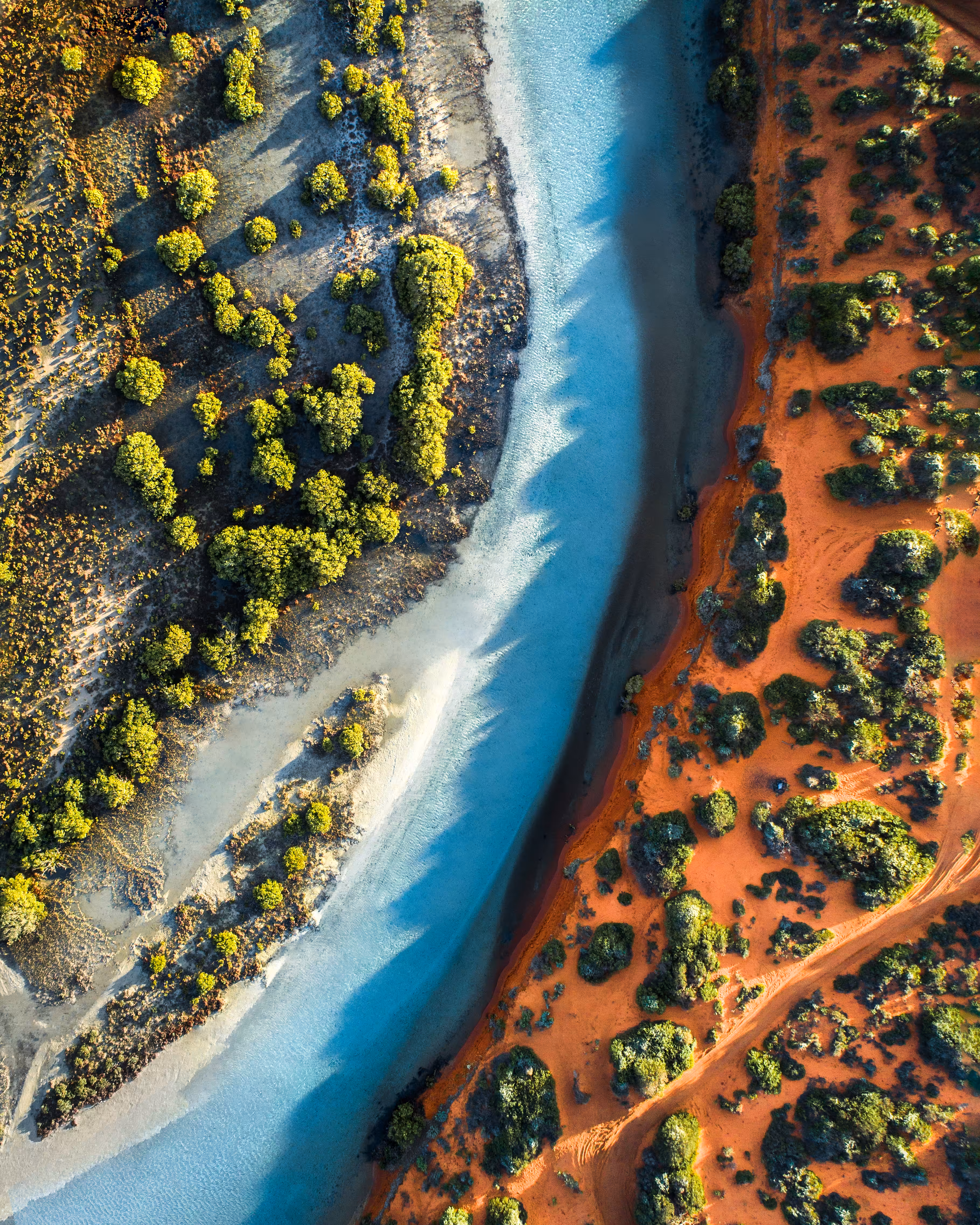 Nature's Contrast