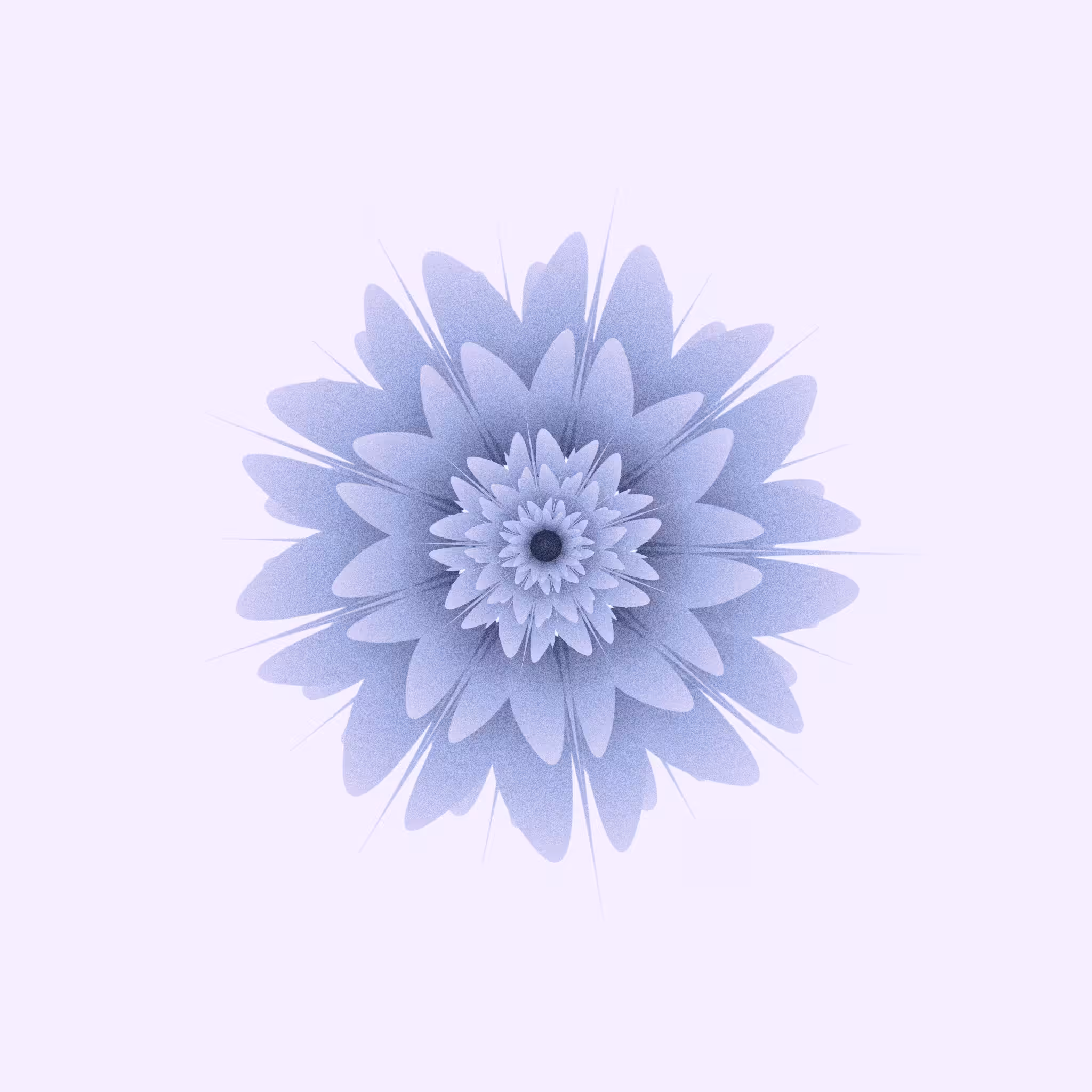 Flower #16