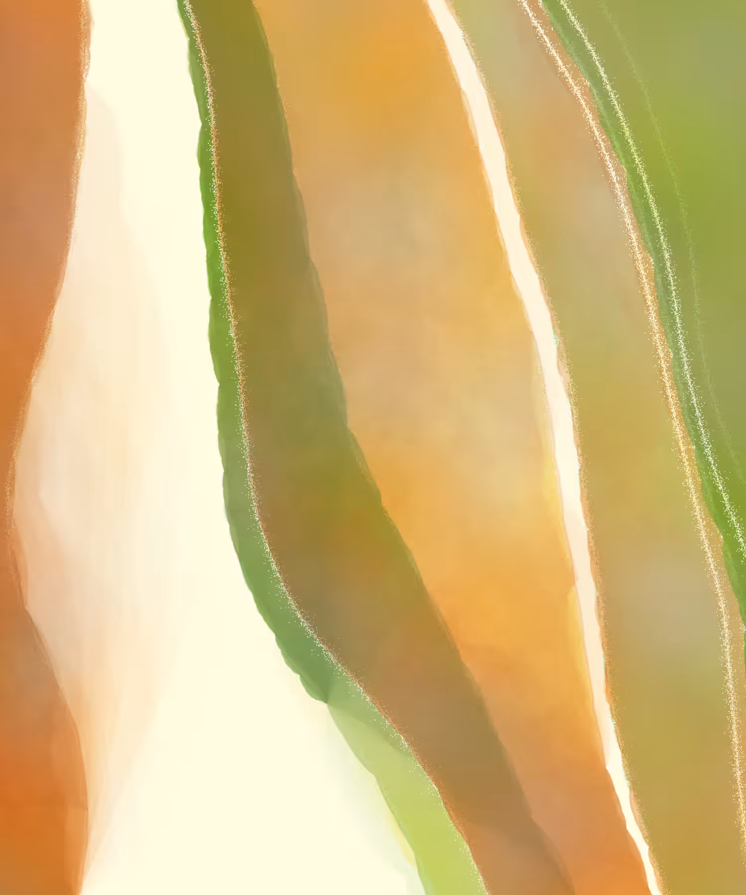 color study j