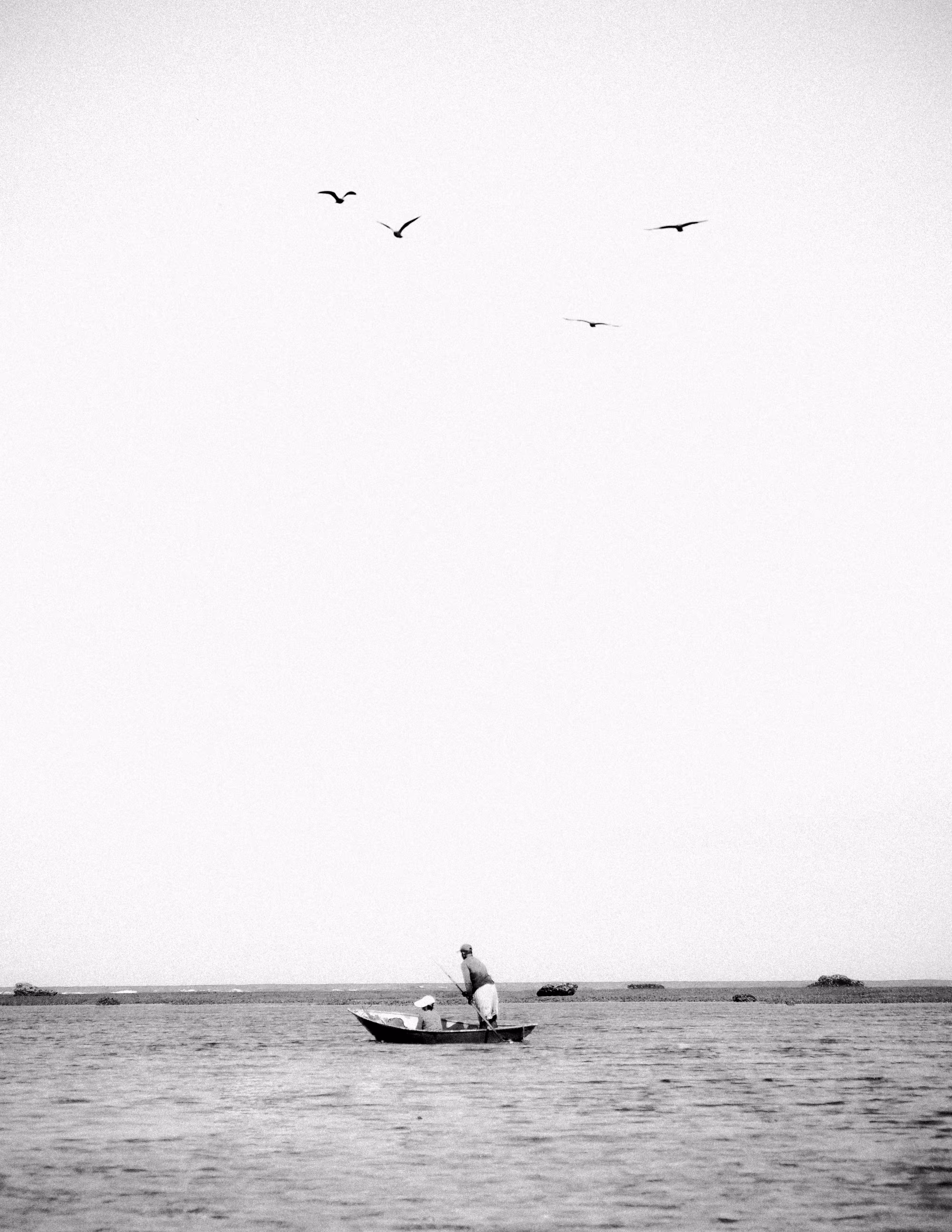 Sampan dan Sepasang Camar