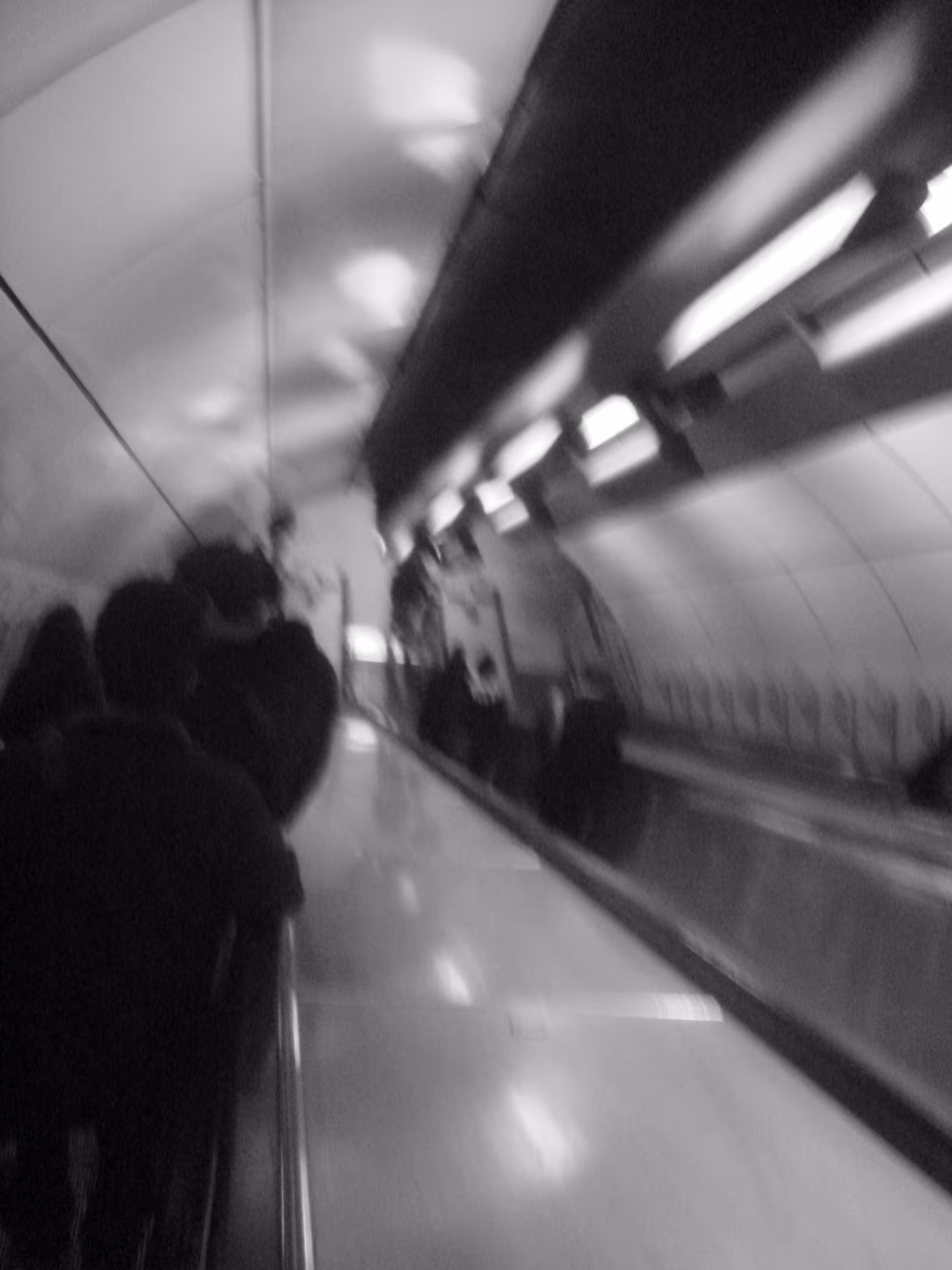 LEMMING TUNNEL