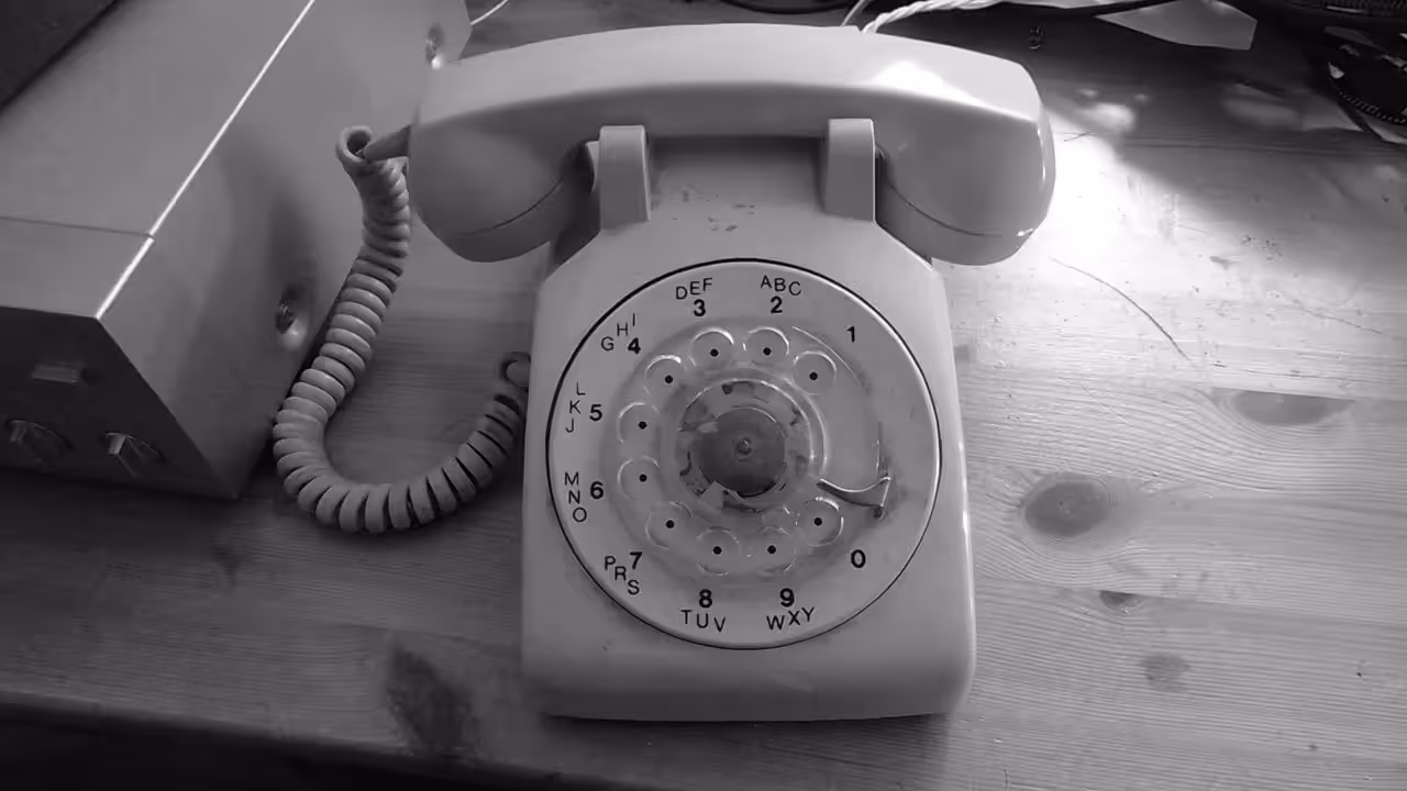 Payphone 6: Rose that Grew from Concrete
