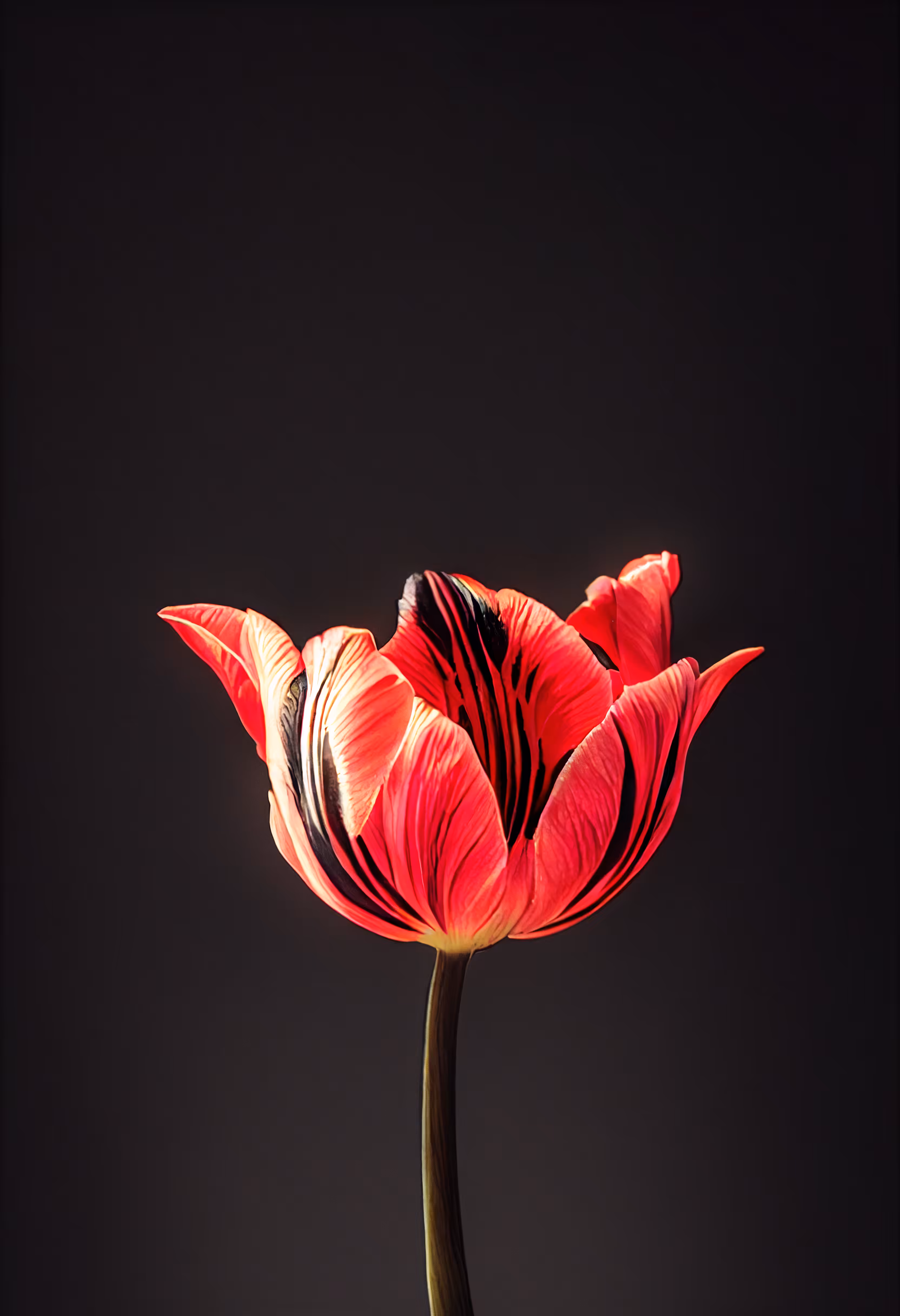 A Flower, Just For You. #140