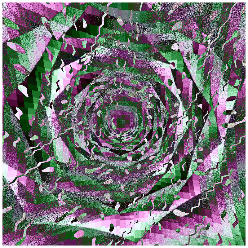 rosette #228
