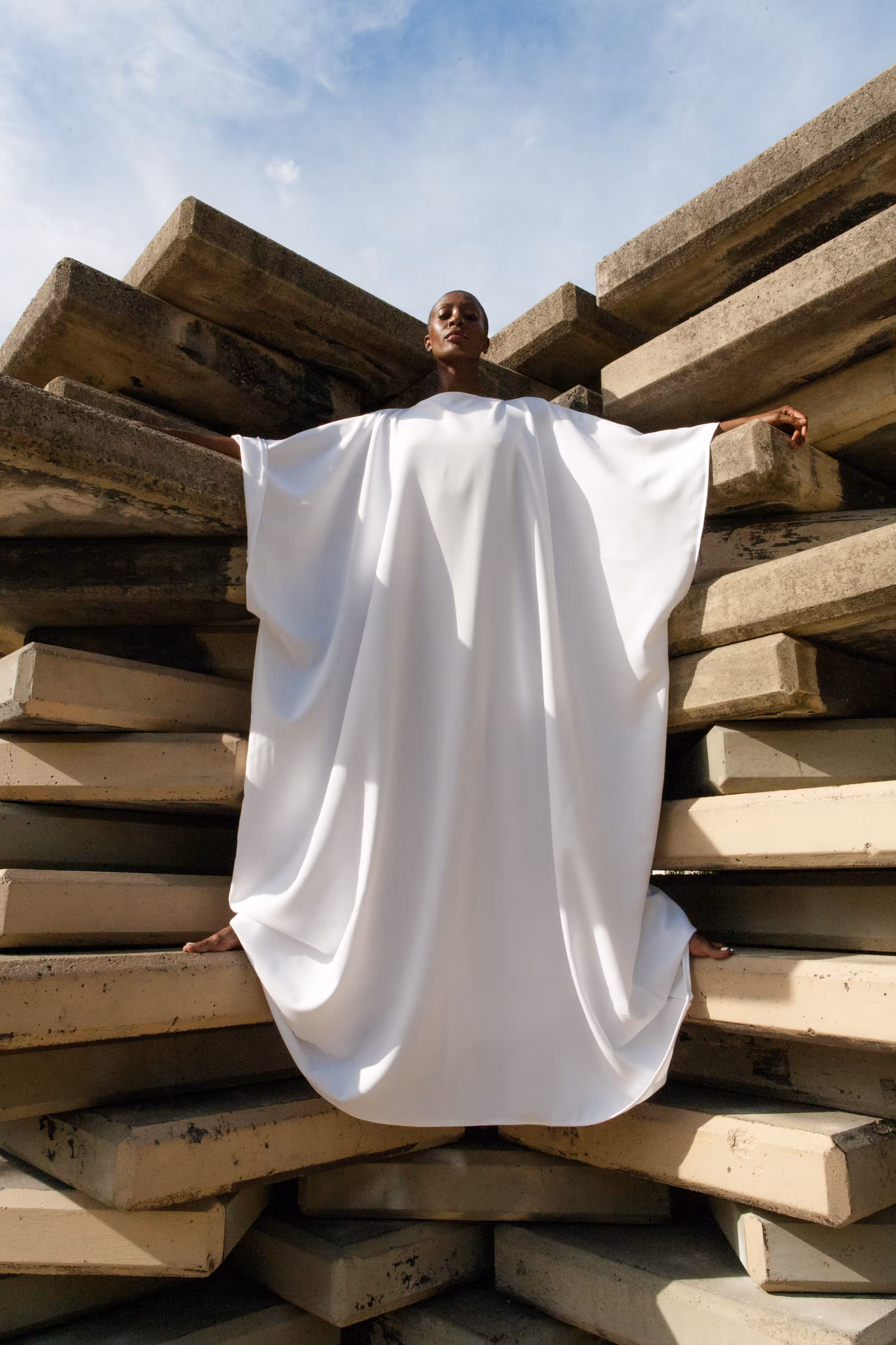 Afromythology - Capricorn at the Castle Door