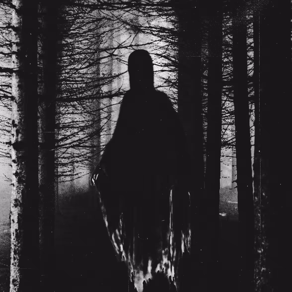 Ghost #8