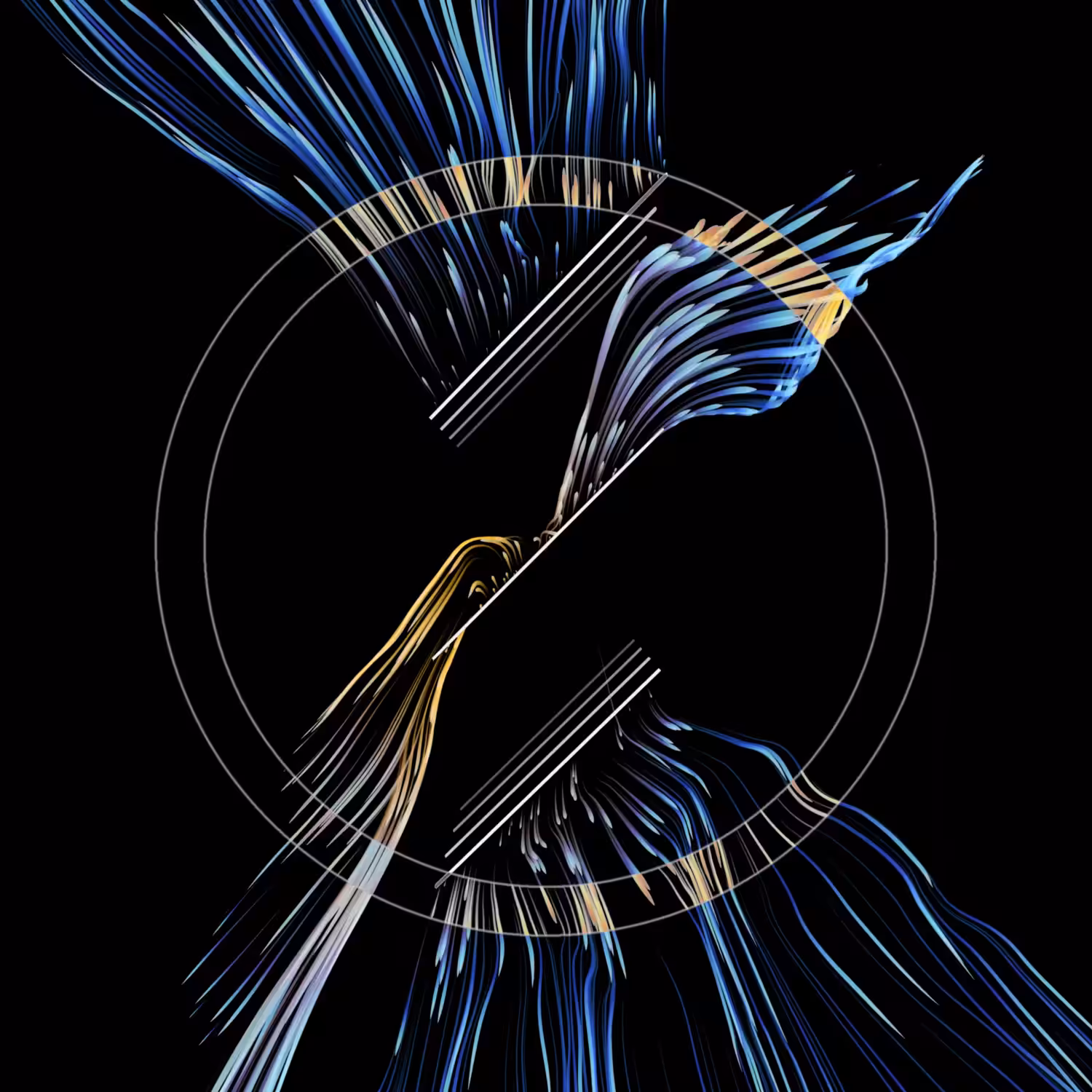 Vortex #709