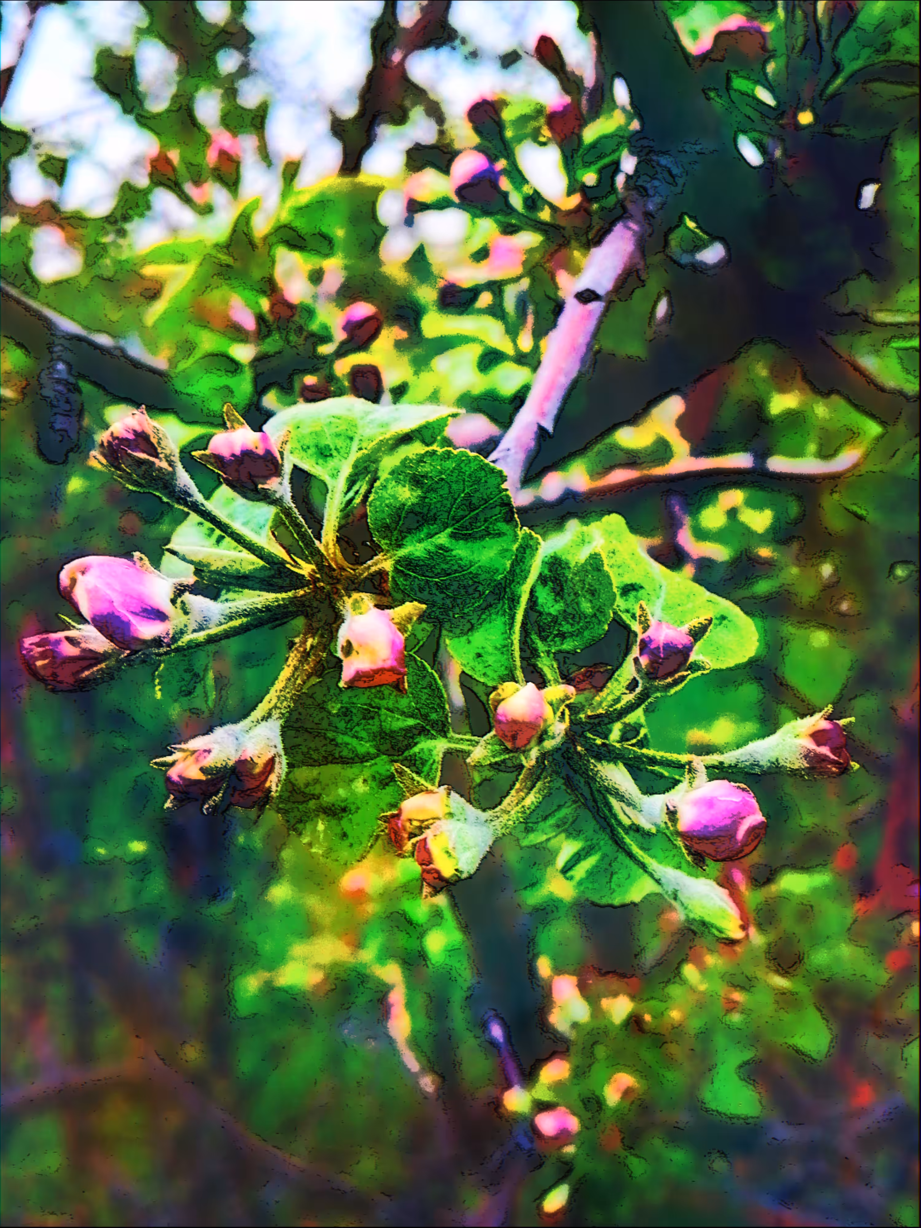 Spring flowering