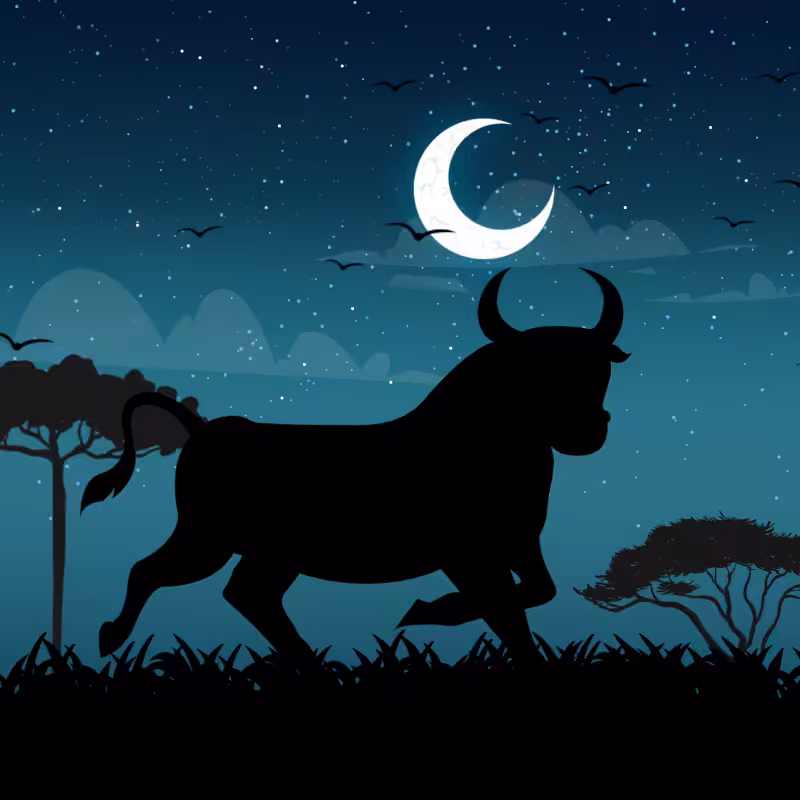 We Care...Bull #3