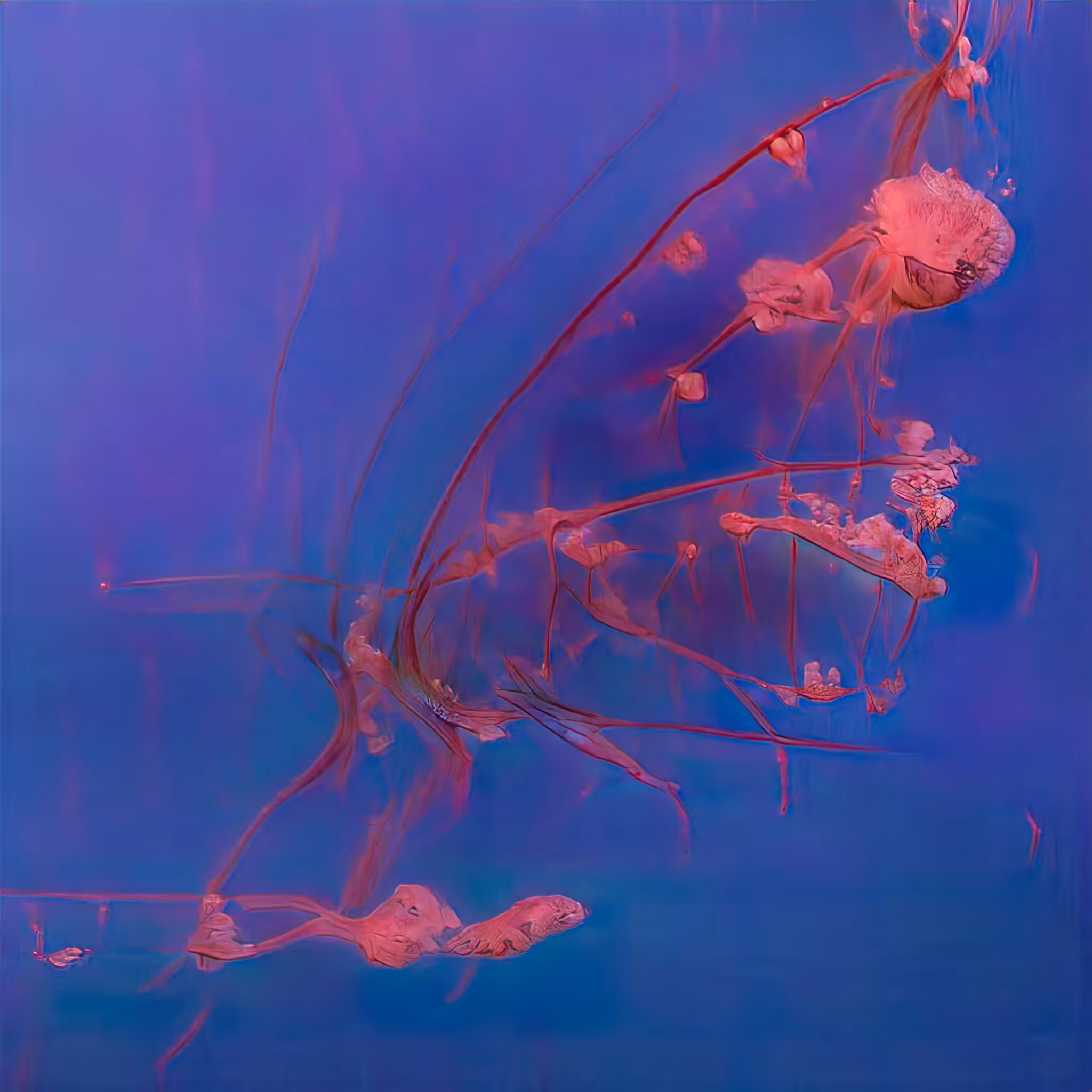 Chimerical Stories #213