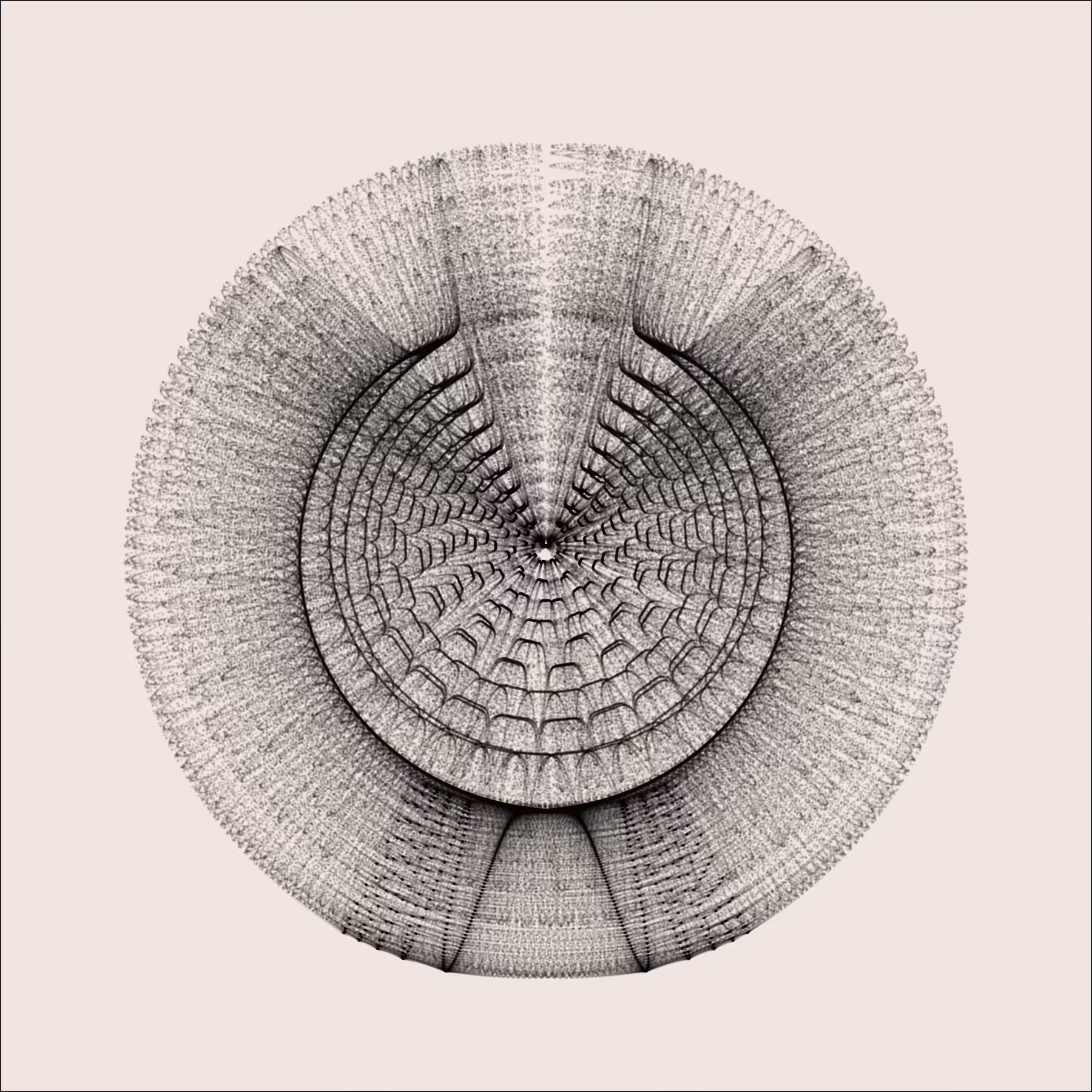 Parametrica #6