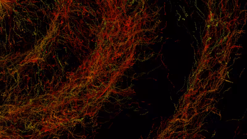 Opus 1. The Flow of Souls #17