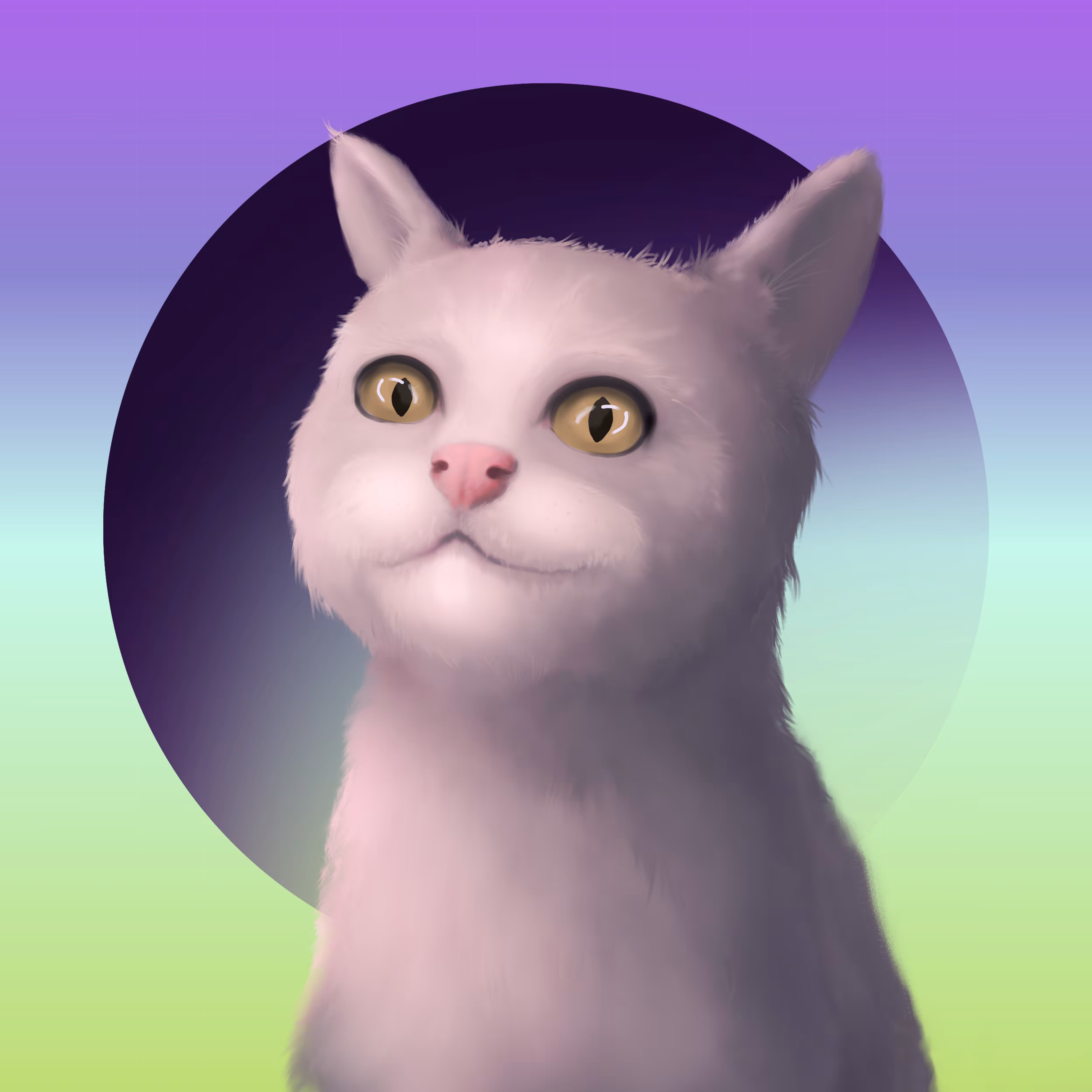 Crazy cat #8