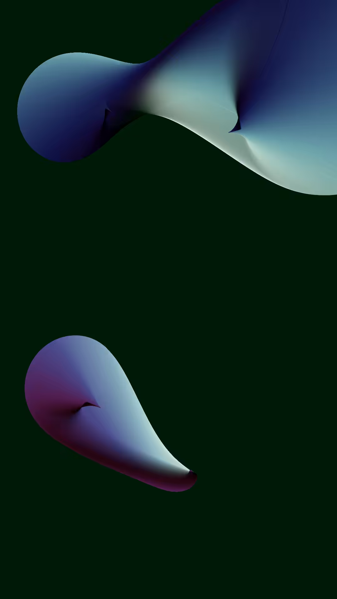 Two beaks #20