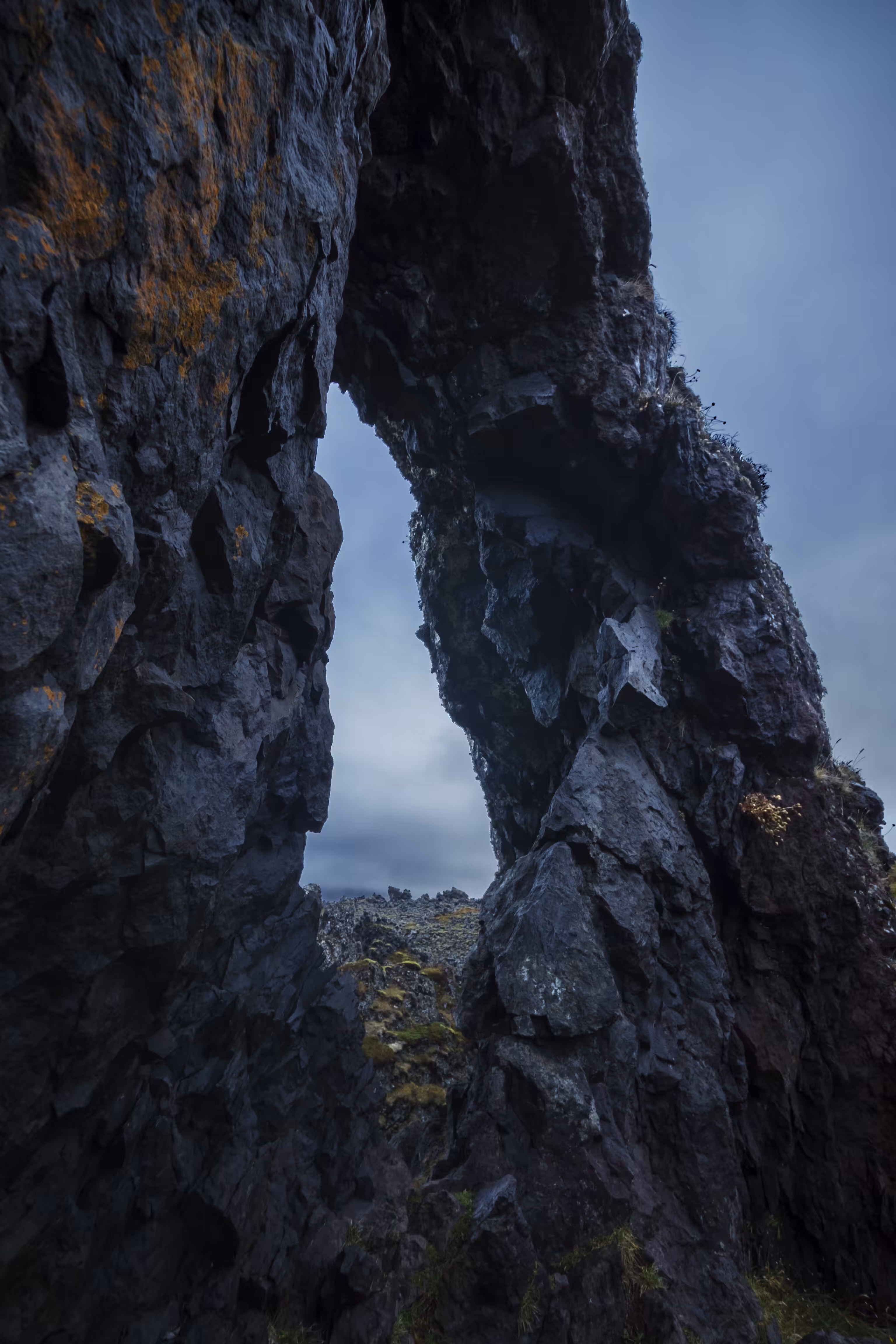Landscape Series: N°8 Hidden Guardians