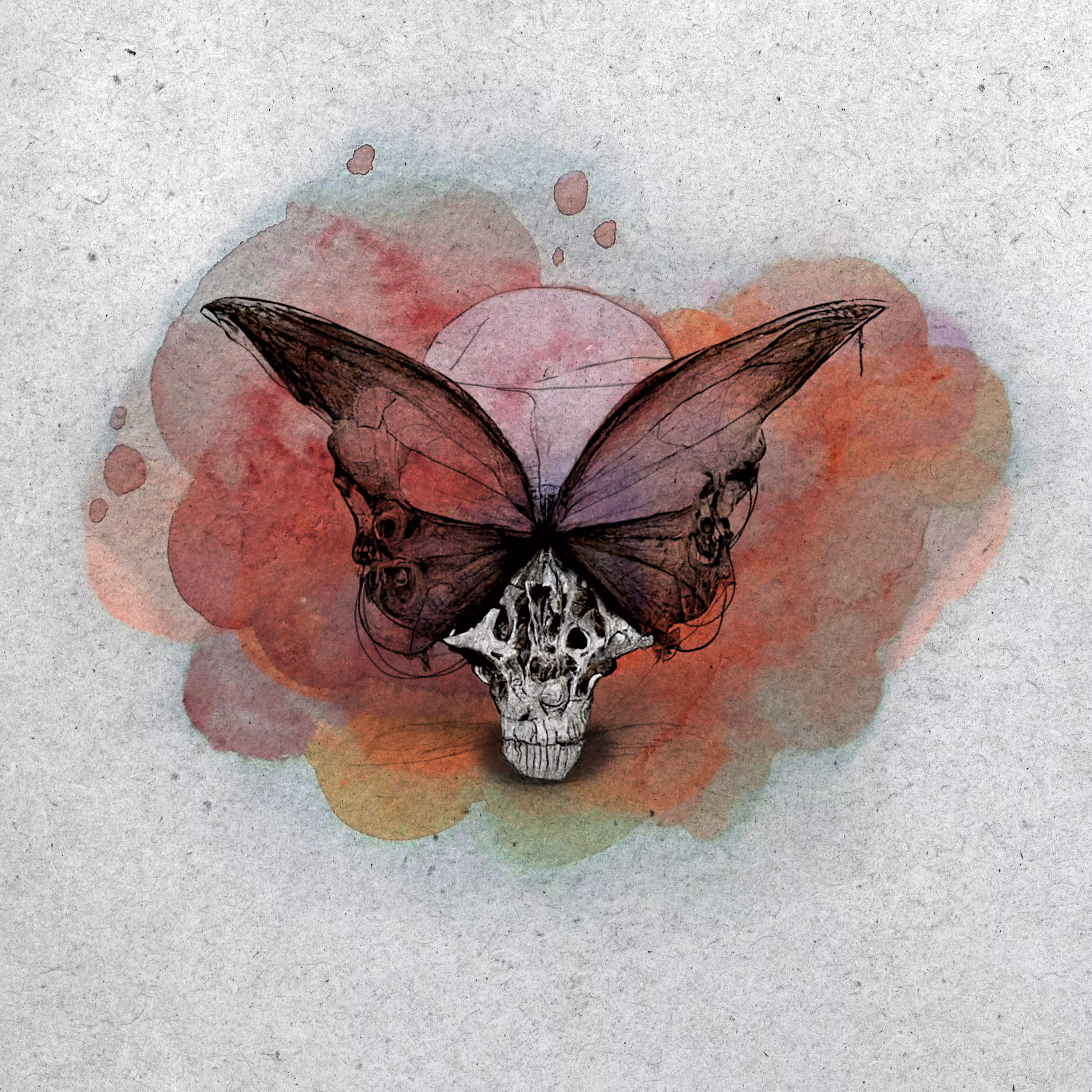 BirciBirci x O.G. SPIRATOM - Butterfly Skullz 💀🦋 Collab