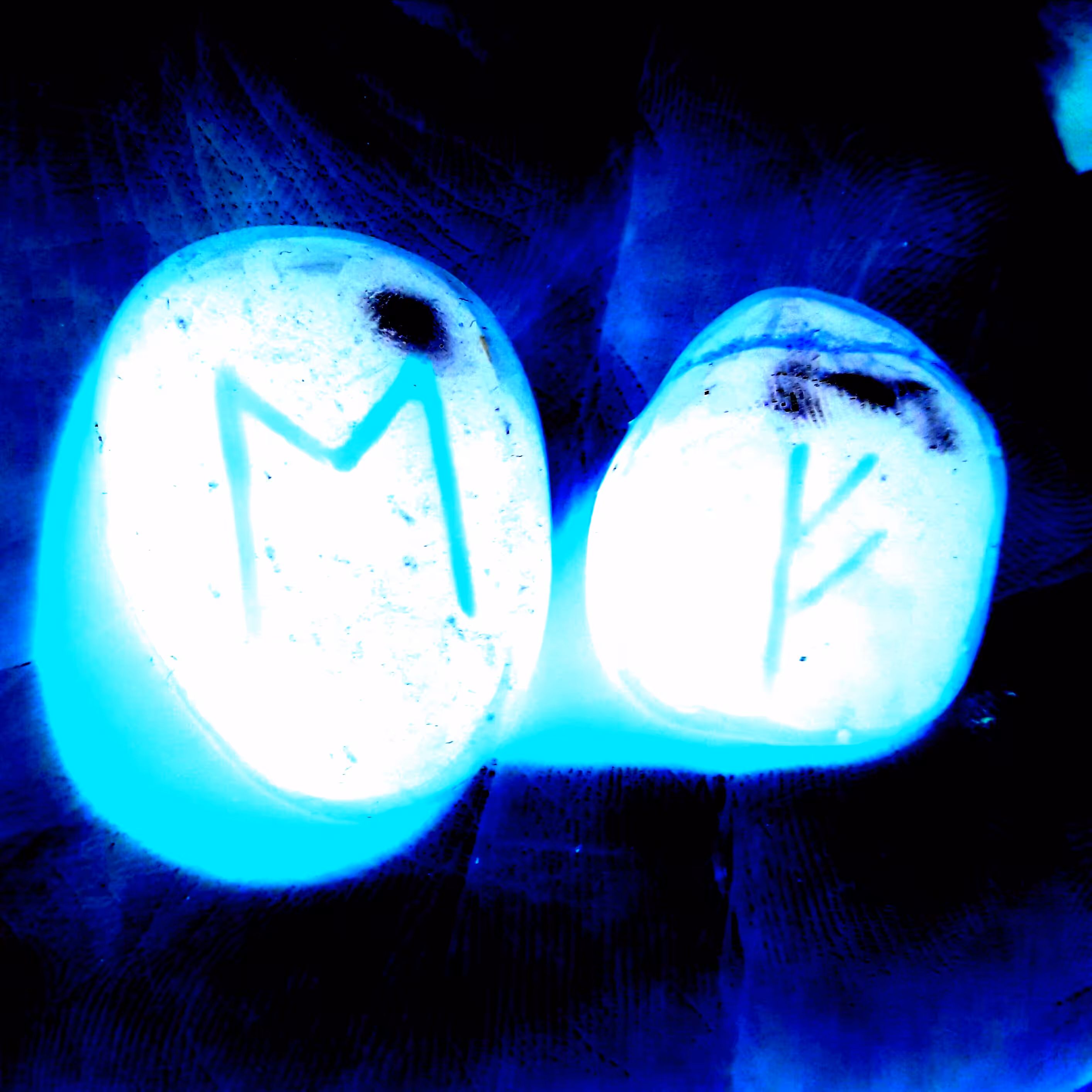 MF