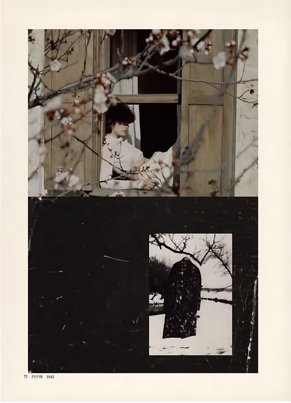 My Dearest, Why Didn’t You Come with the Spring?