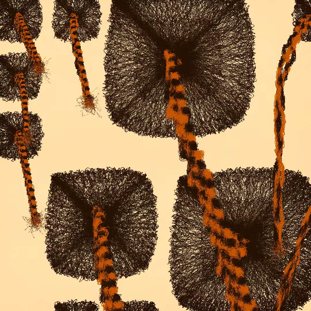 Beauty Supply Is Out of Du-Rags: A Personal Synthesis of Protection and Timeless Style #277