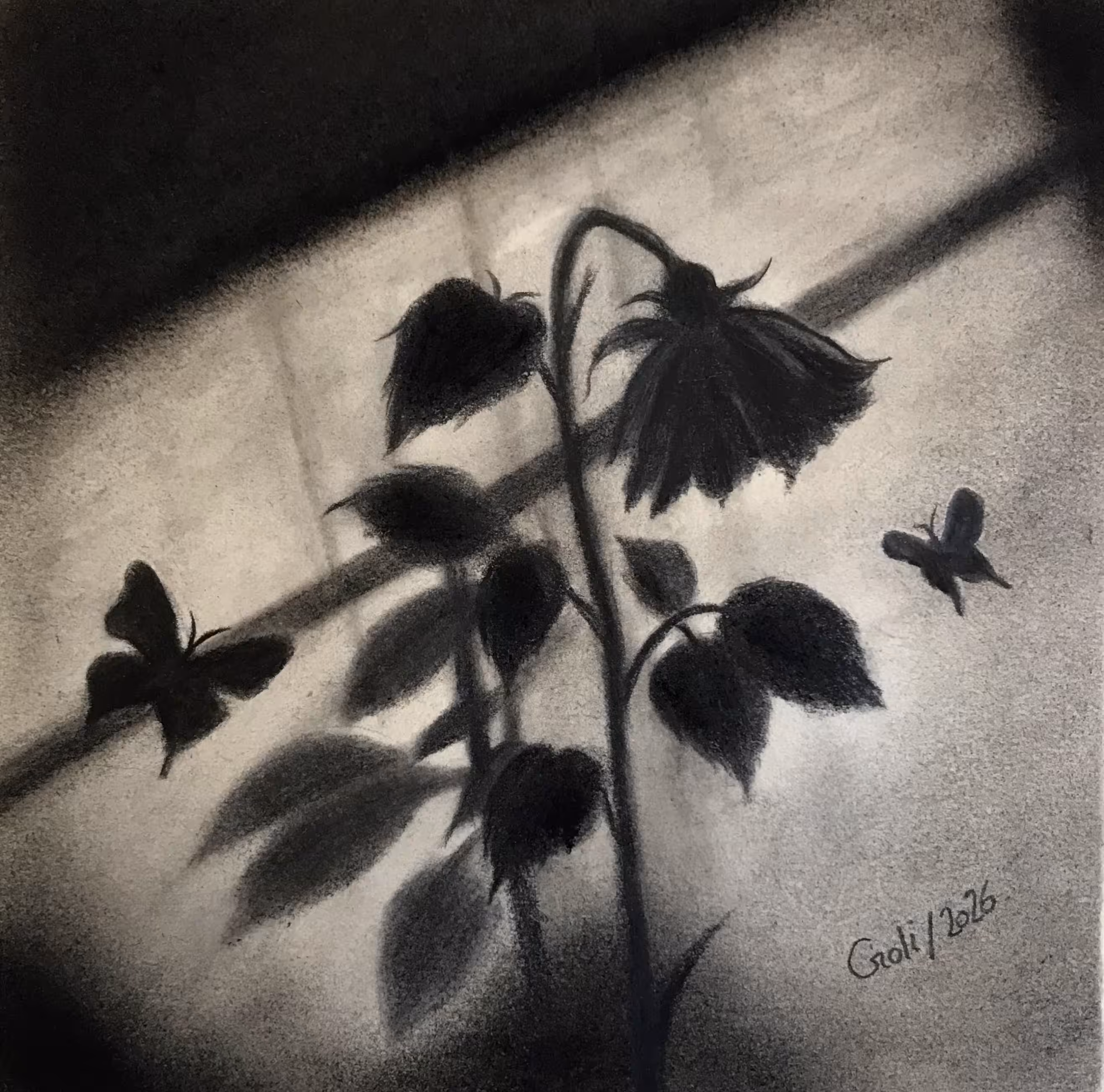 Life in the shadows