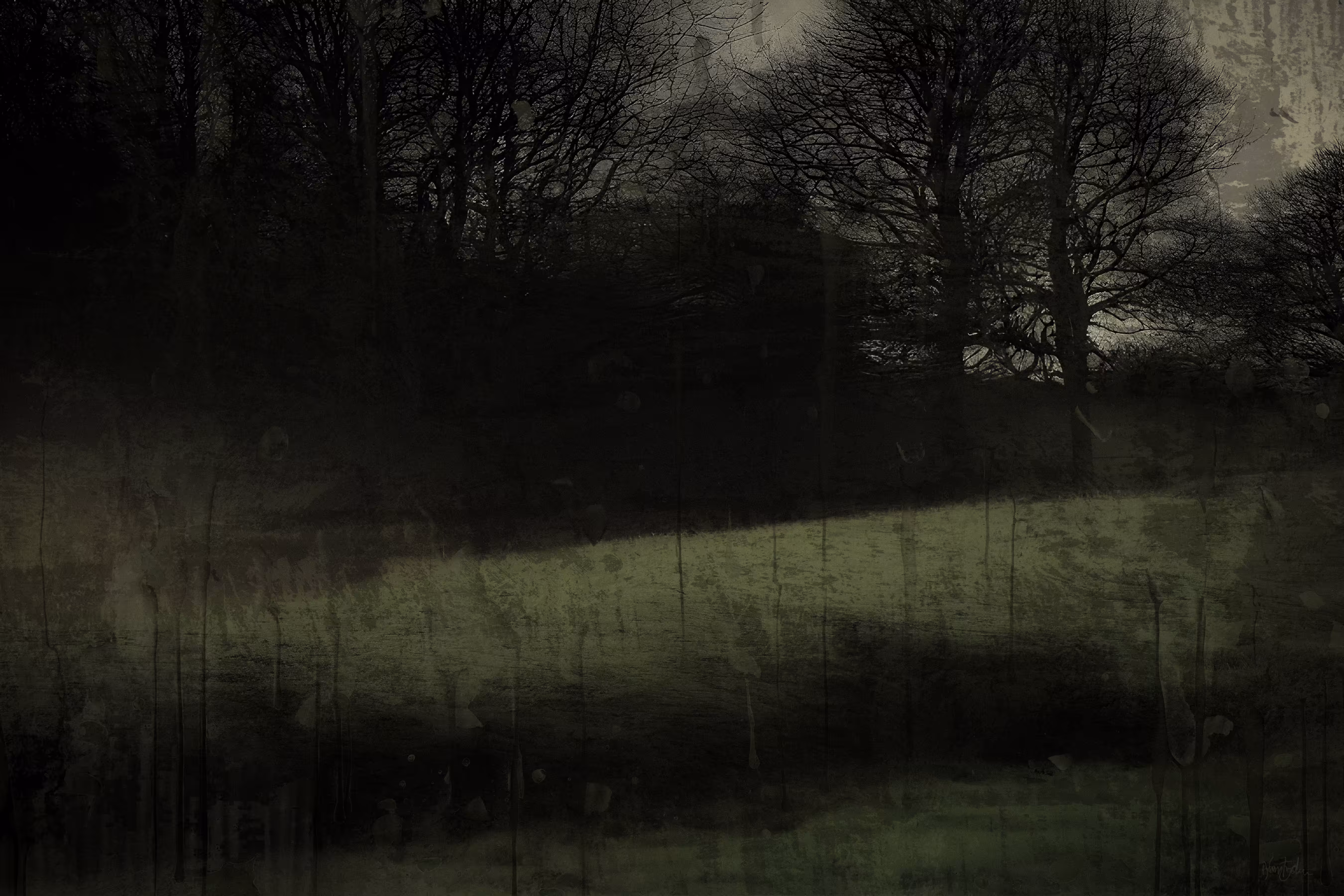 Last light