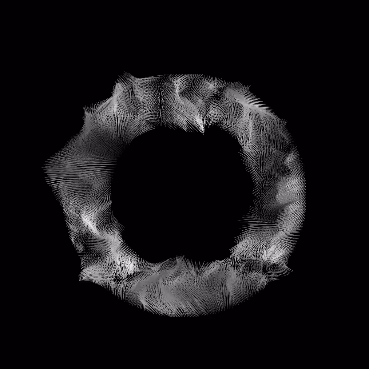 The Circle