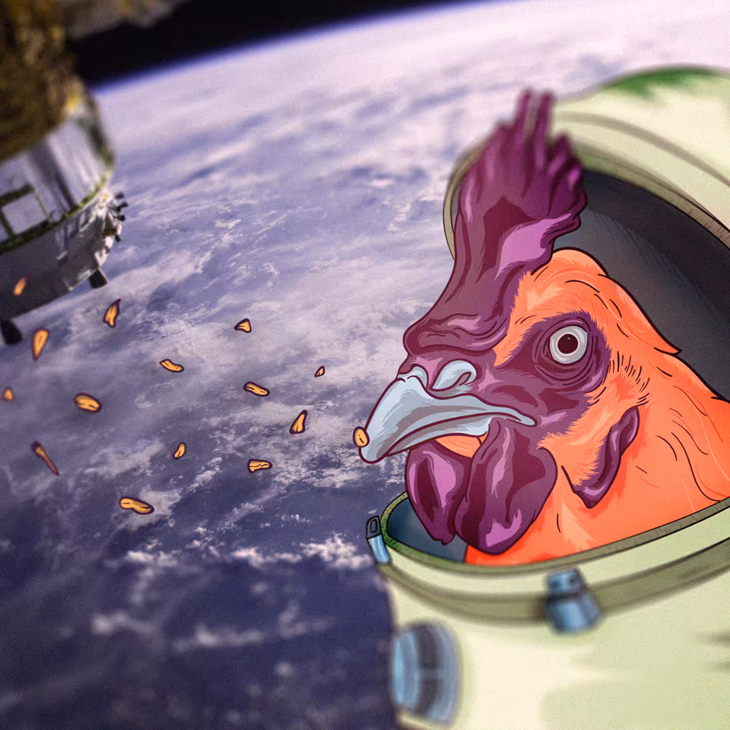 space chicken