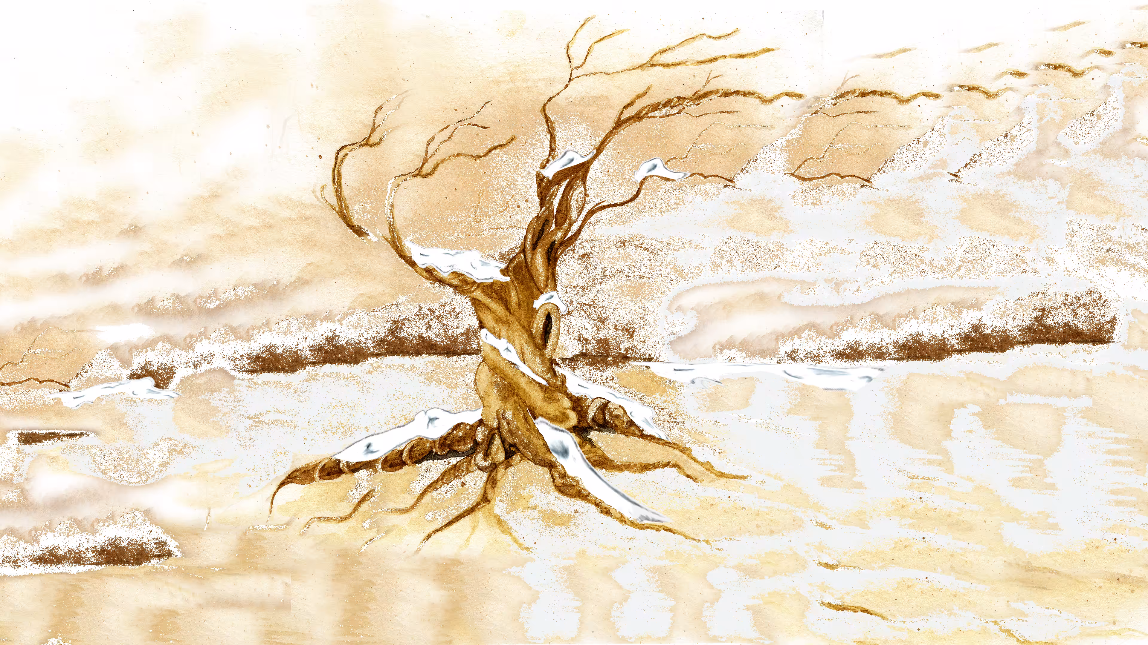 Old Man Twisted Tree