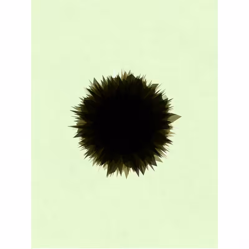 Accretion #13